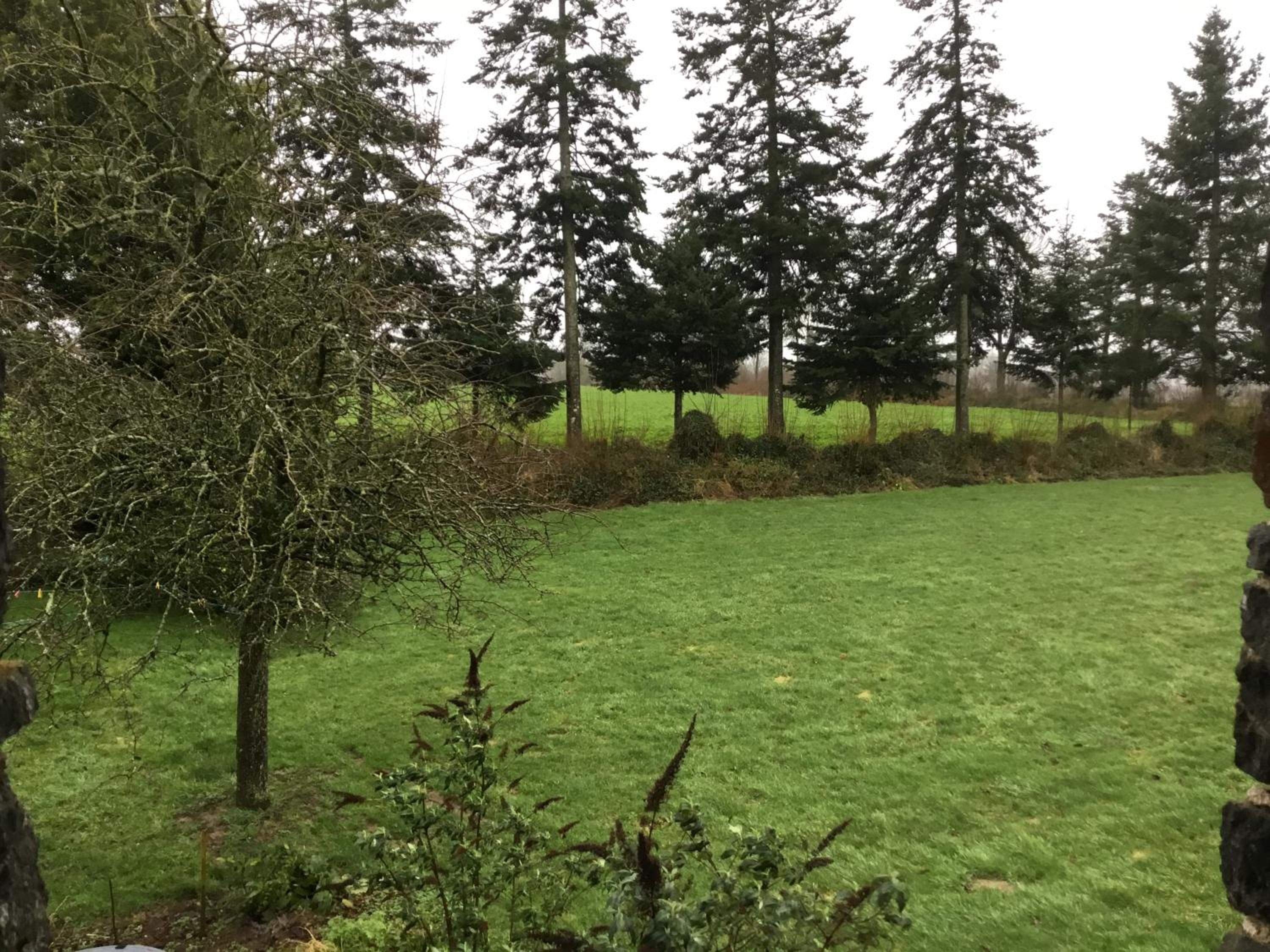The Magnolias B&B view 3