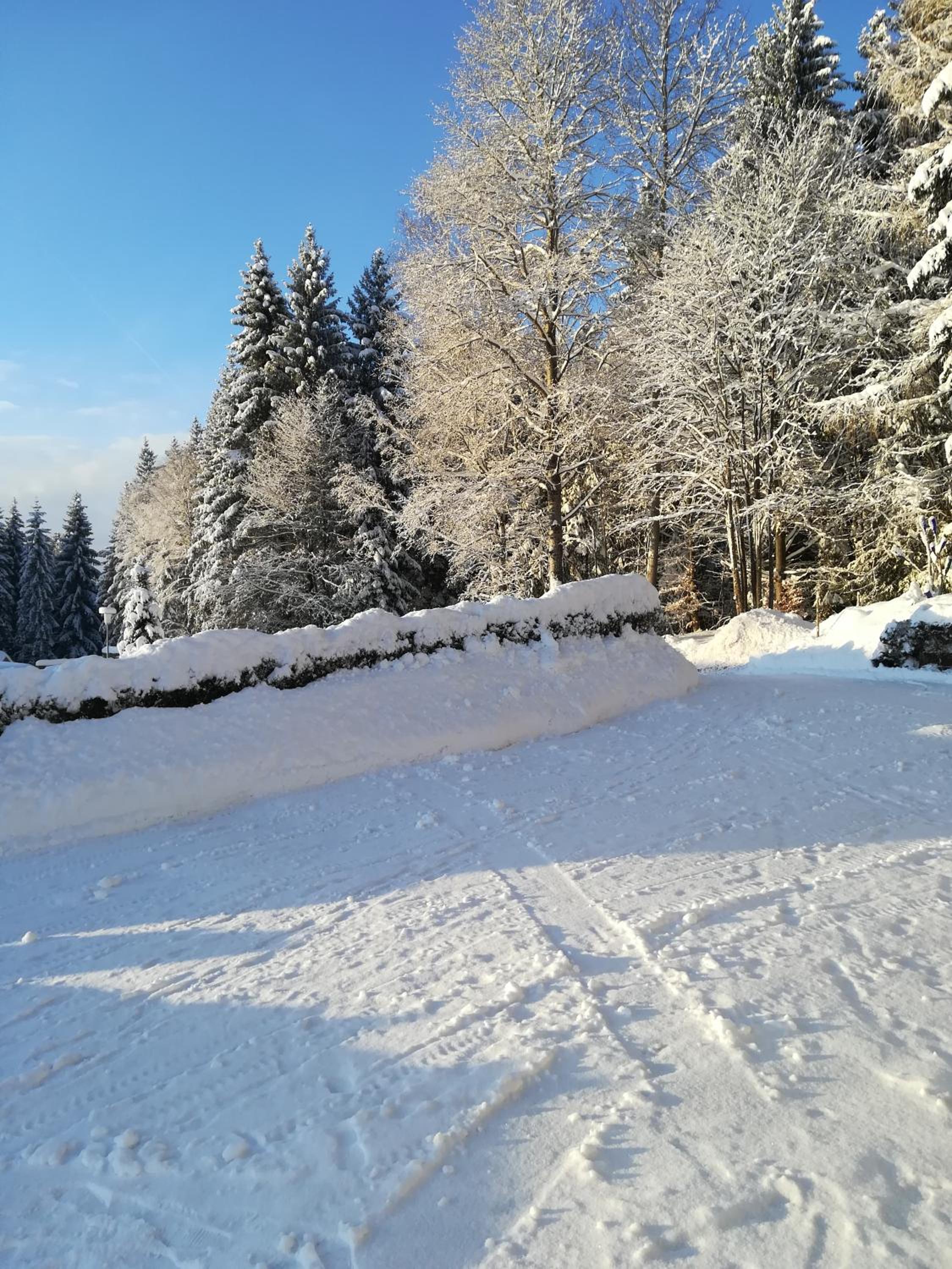 Waldferienhof am Nationalpark view 3
