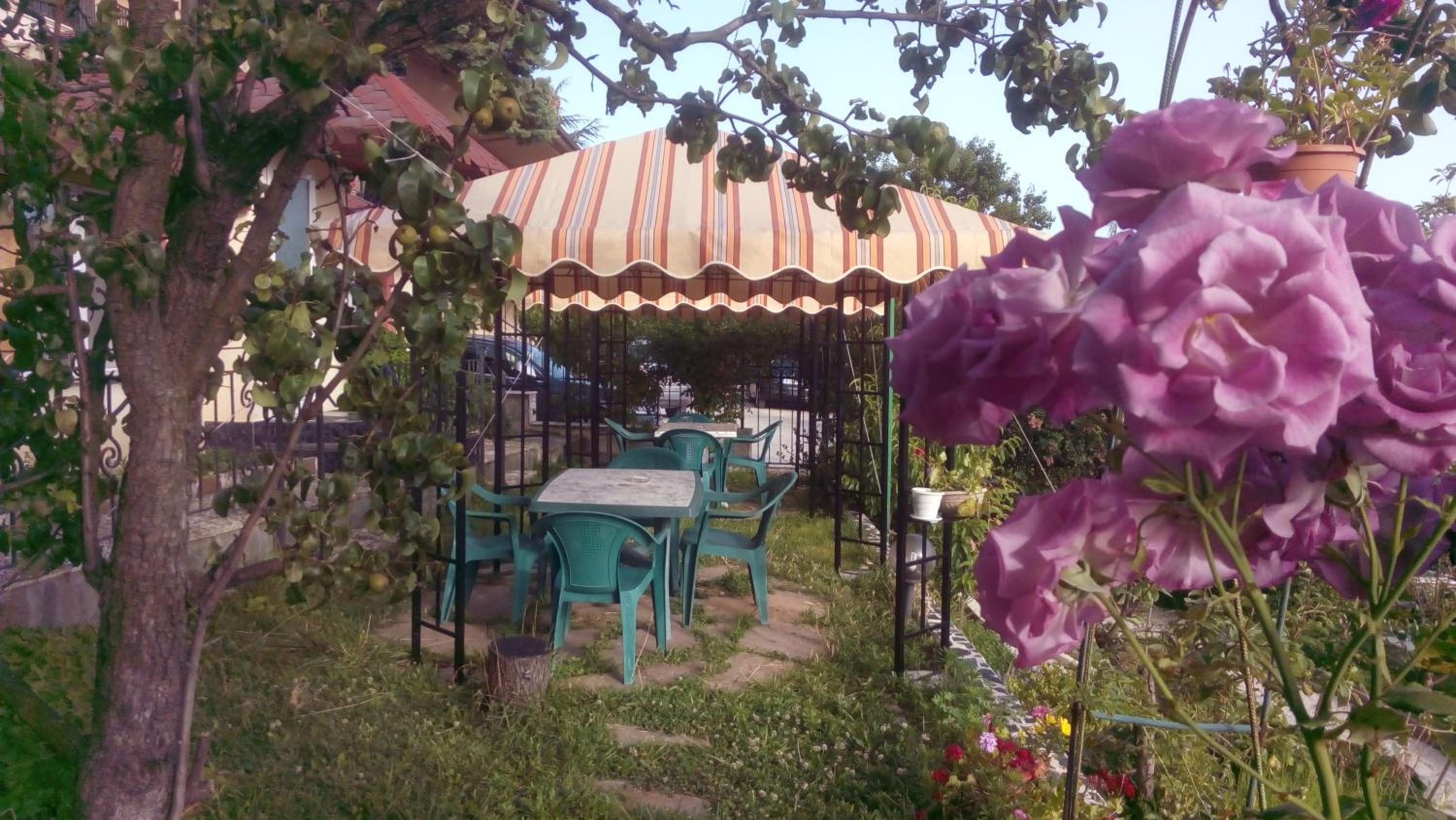 Villa Summer House