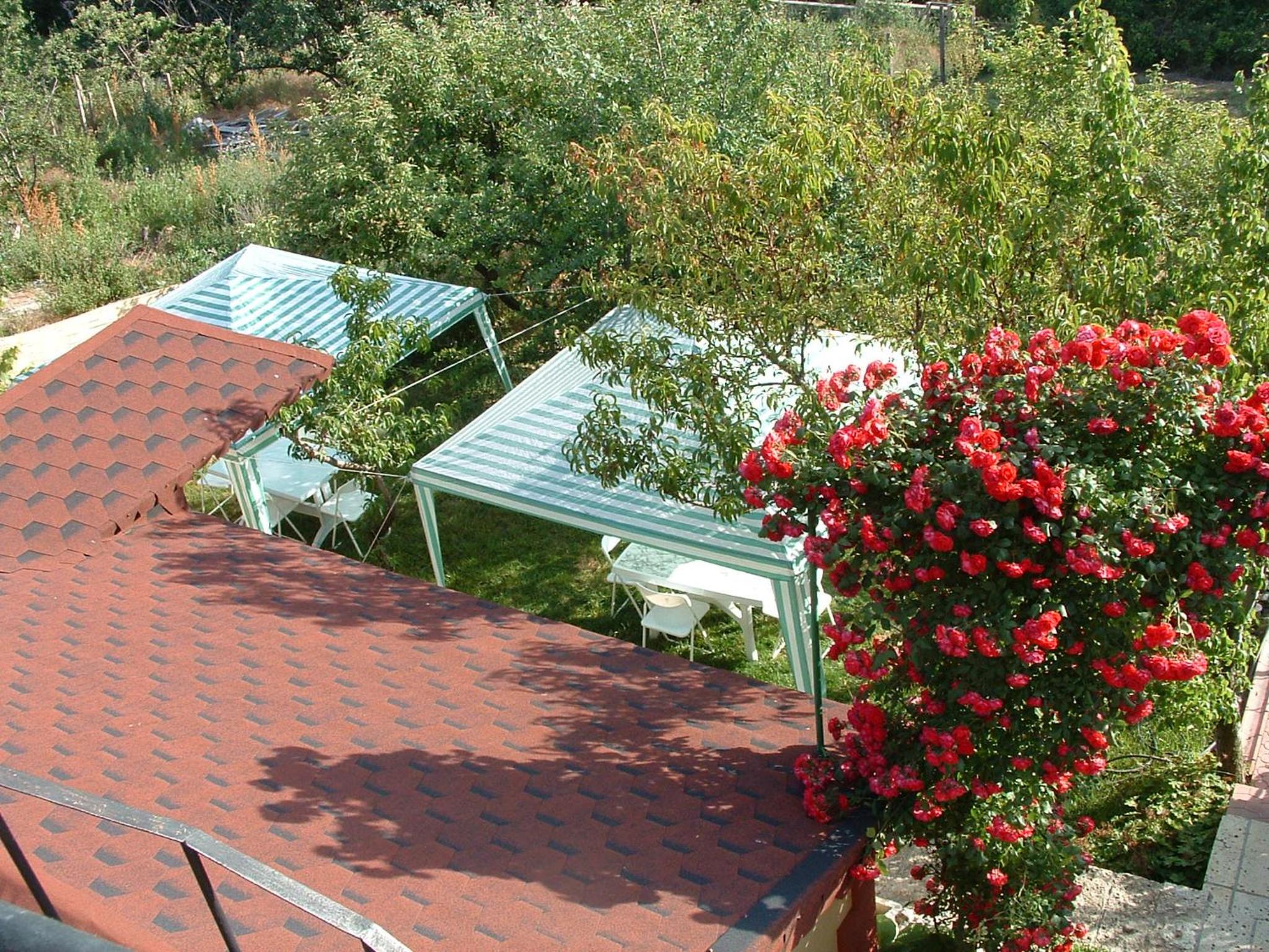 Villa Summer House