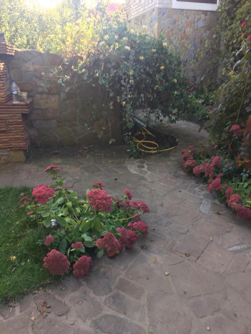 Photo 37