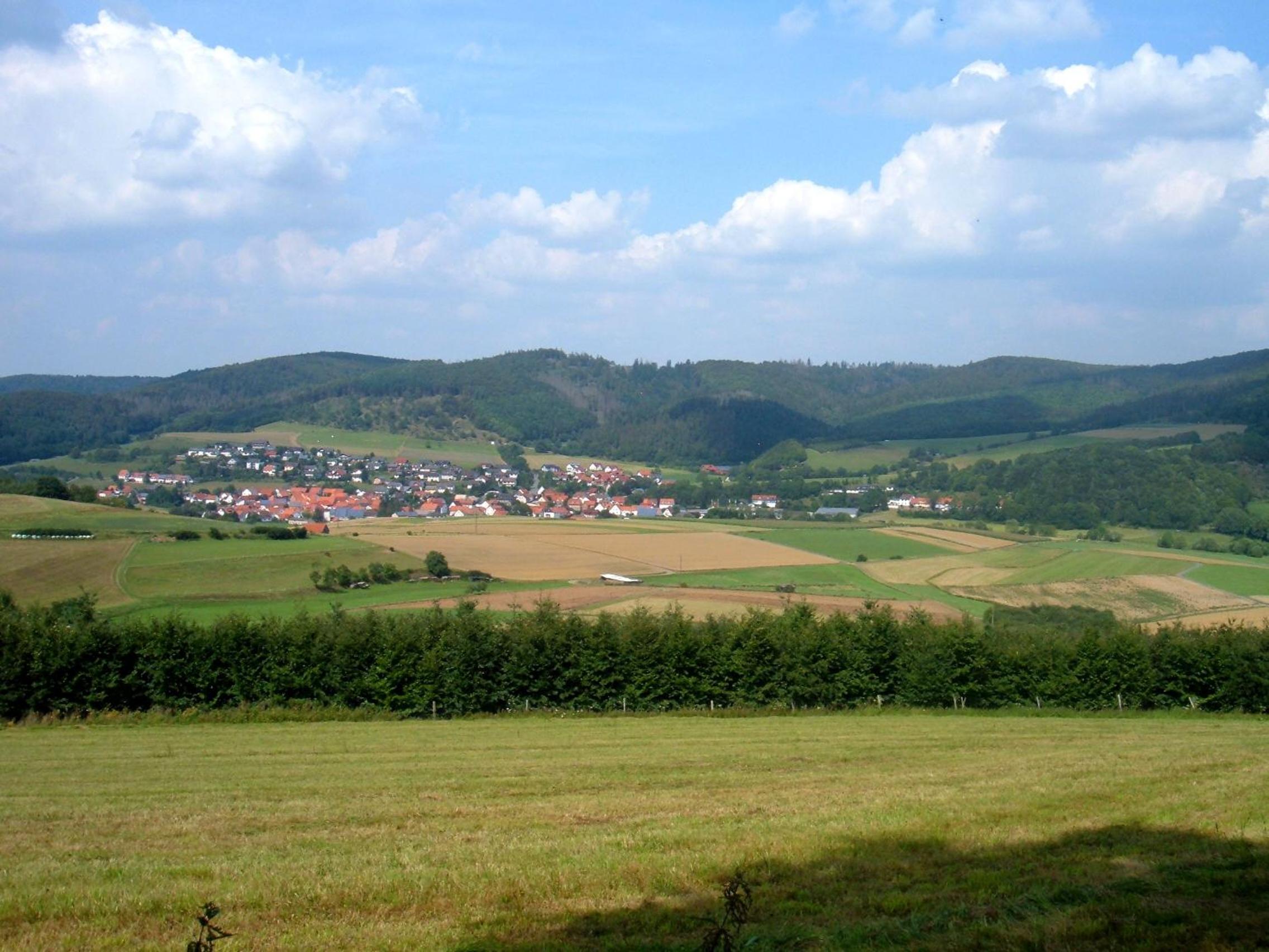 Photo 14