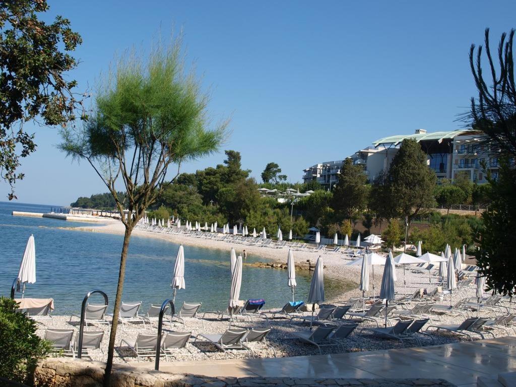 Apartments Rozela