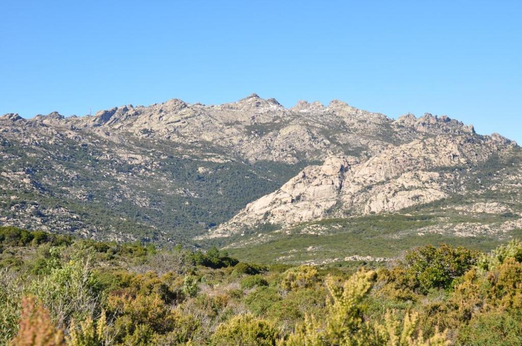 Sardegna vicino ad Olbia "La casa nel vicolo" view 3