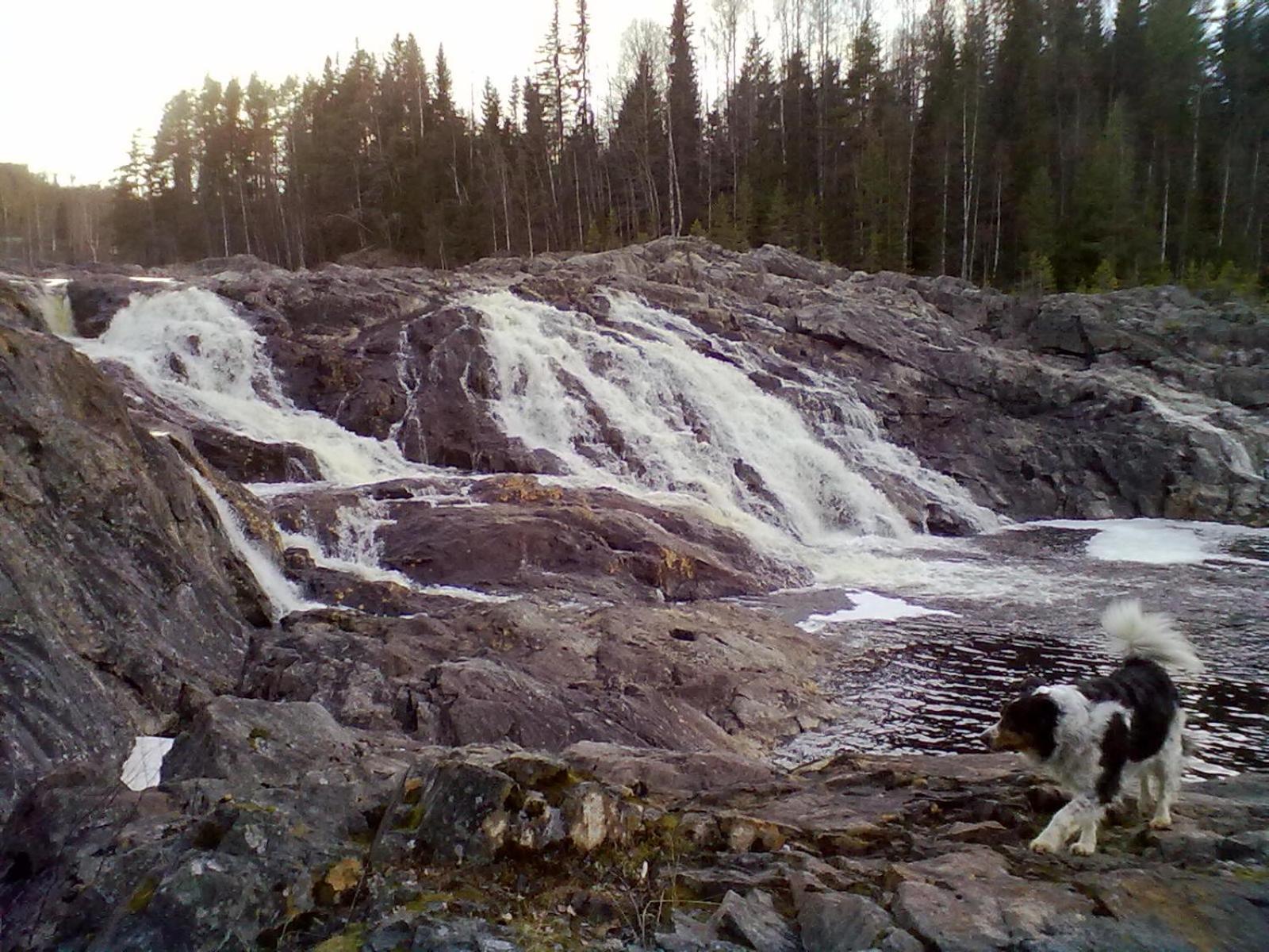 Photo 33