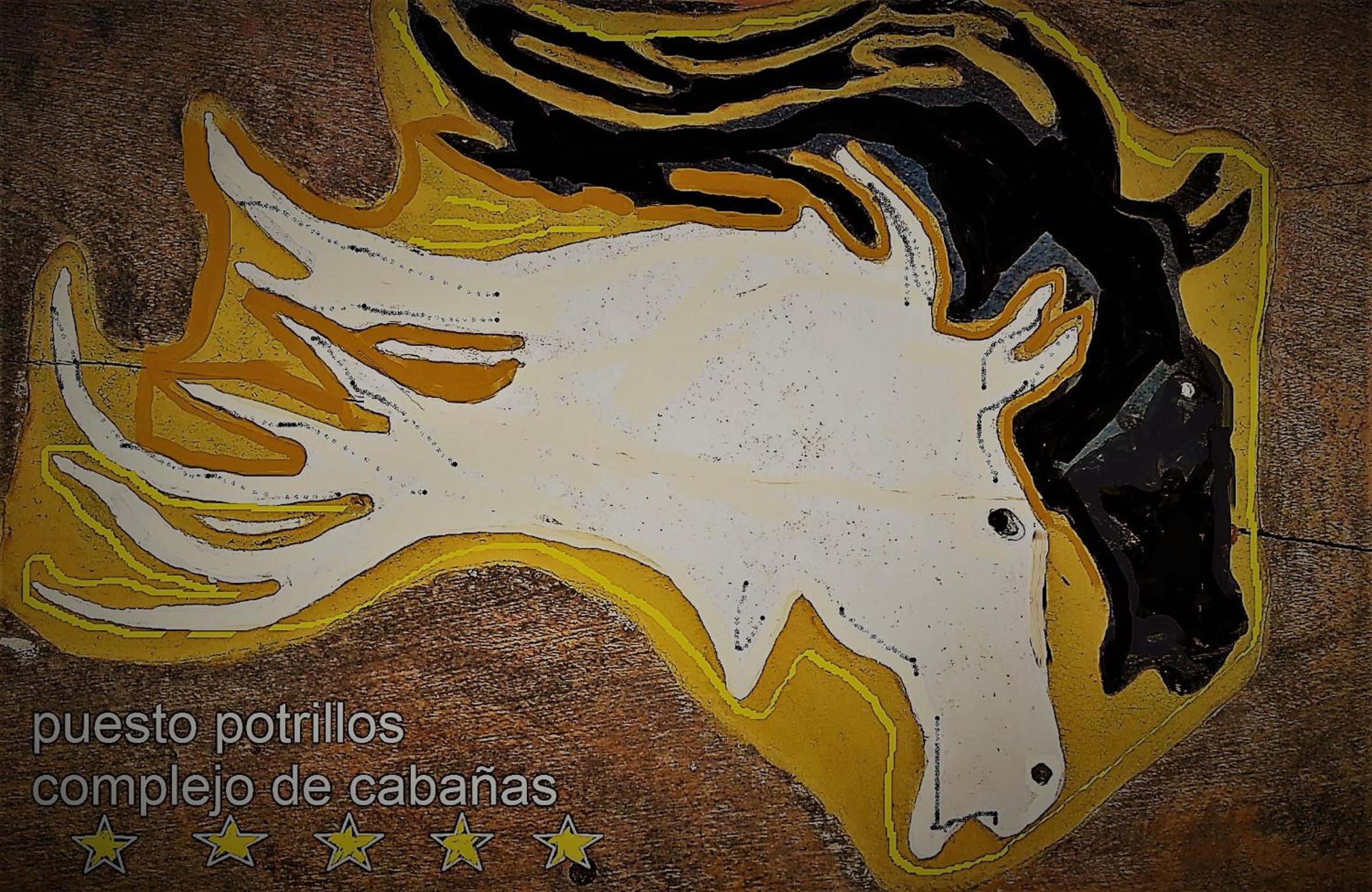 Puesto Potrillos