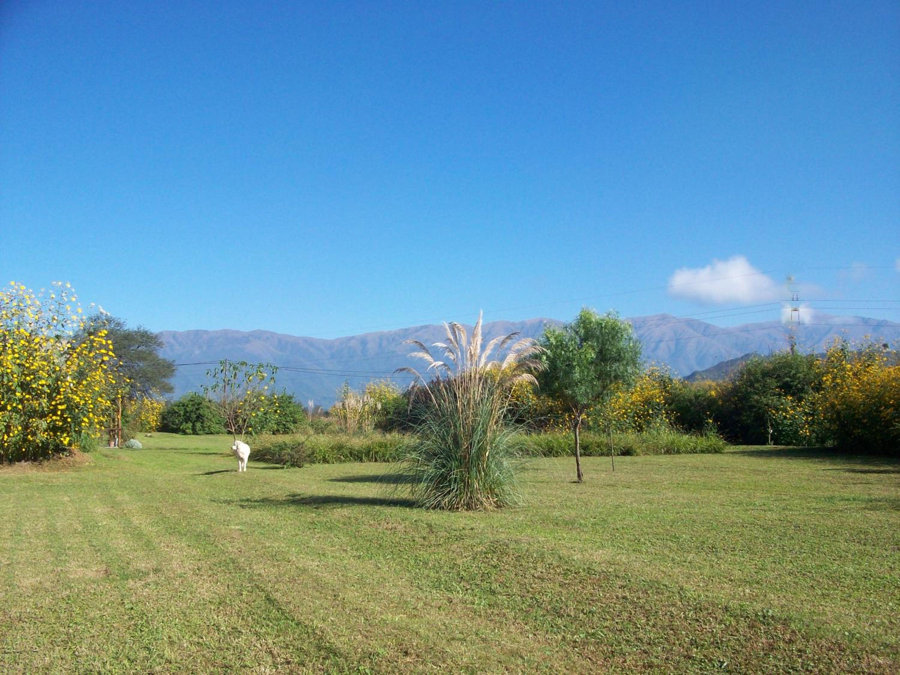 Finca La Vertiente