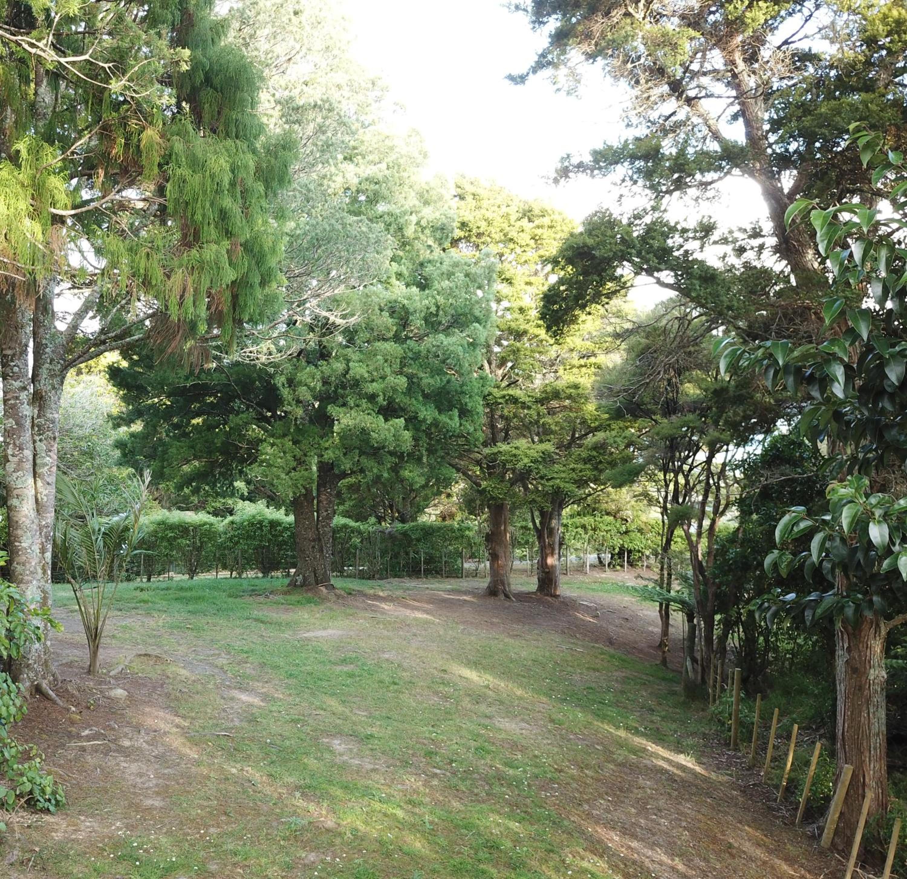 Kohinui Glade Holiday Cottage