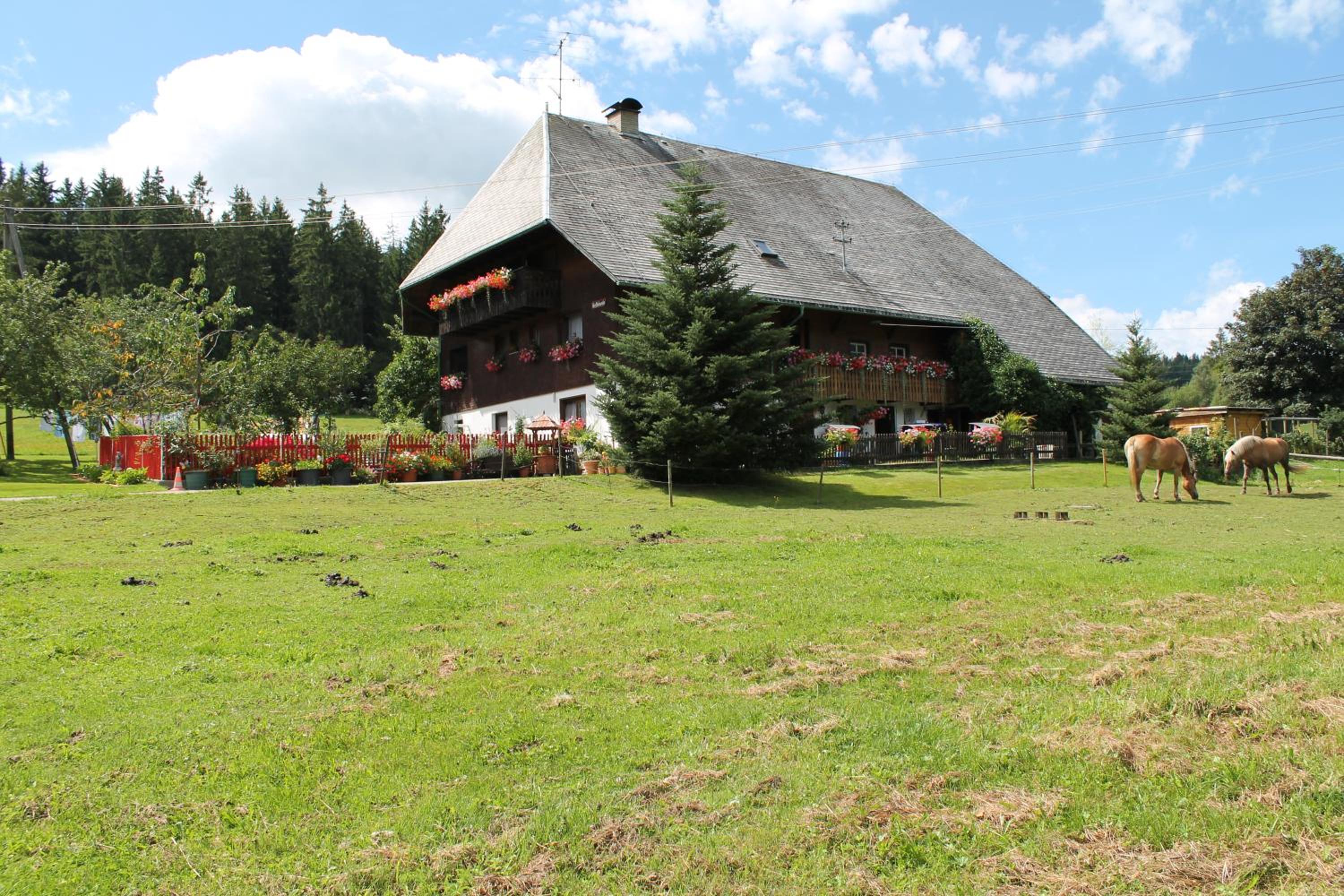 Photo 25