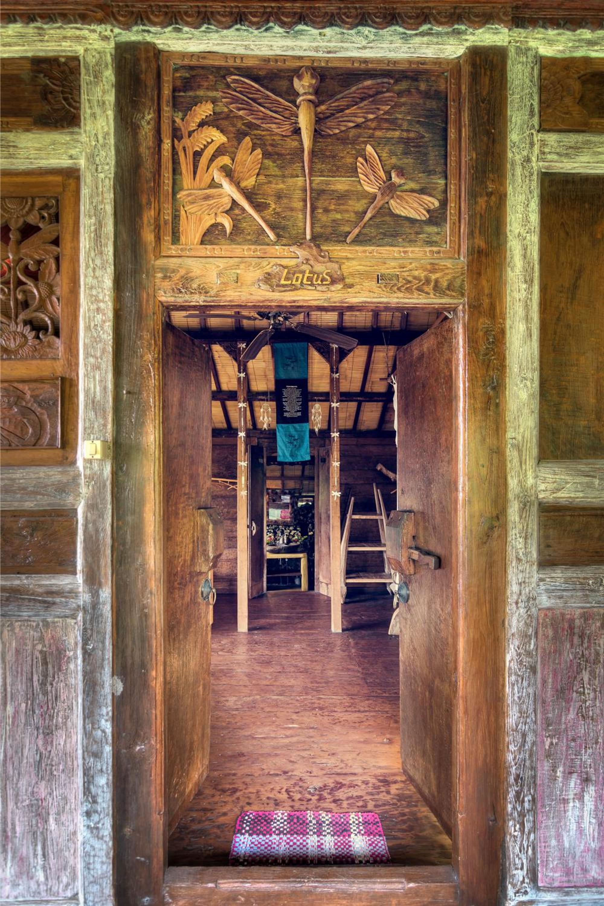 Dragonfly Village