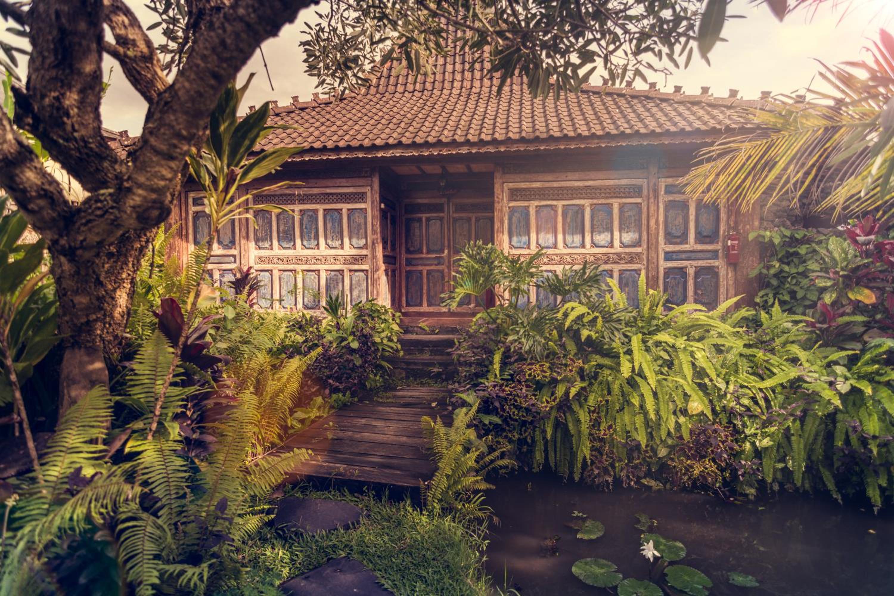 Dragonfly Village