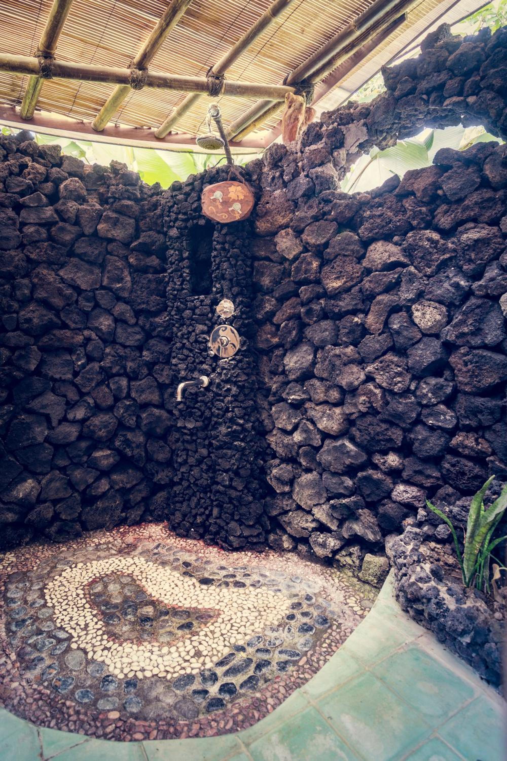 Dragonfly Village