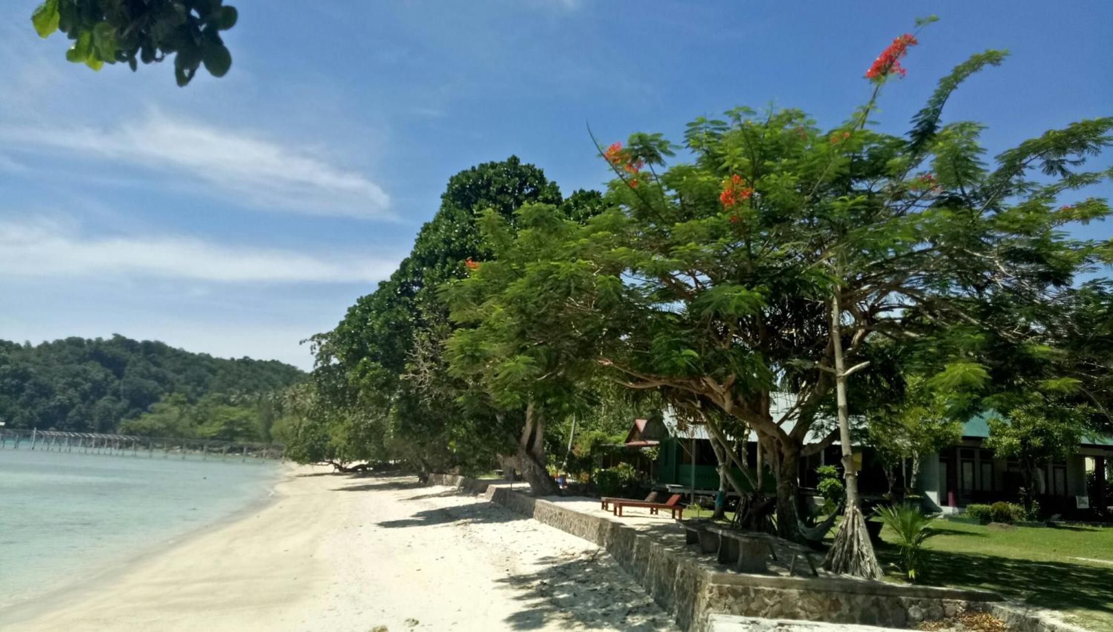 Panorama Seulako