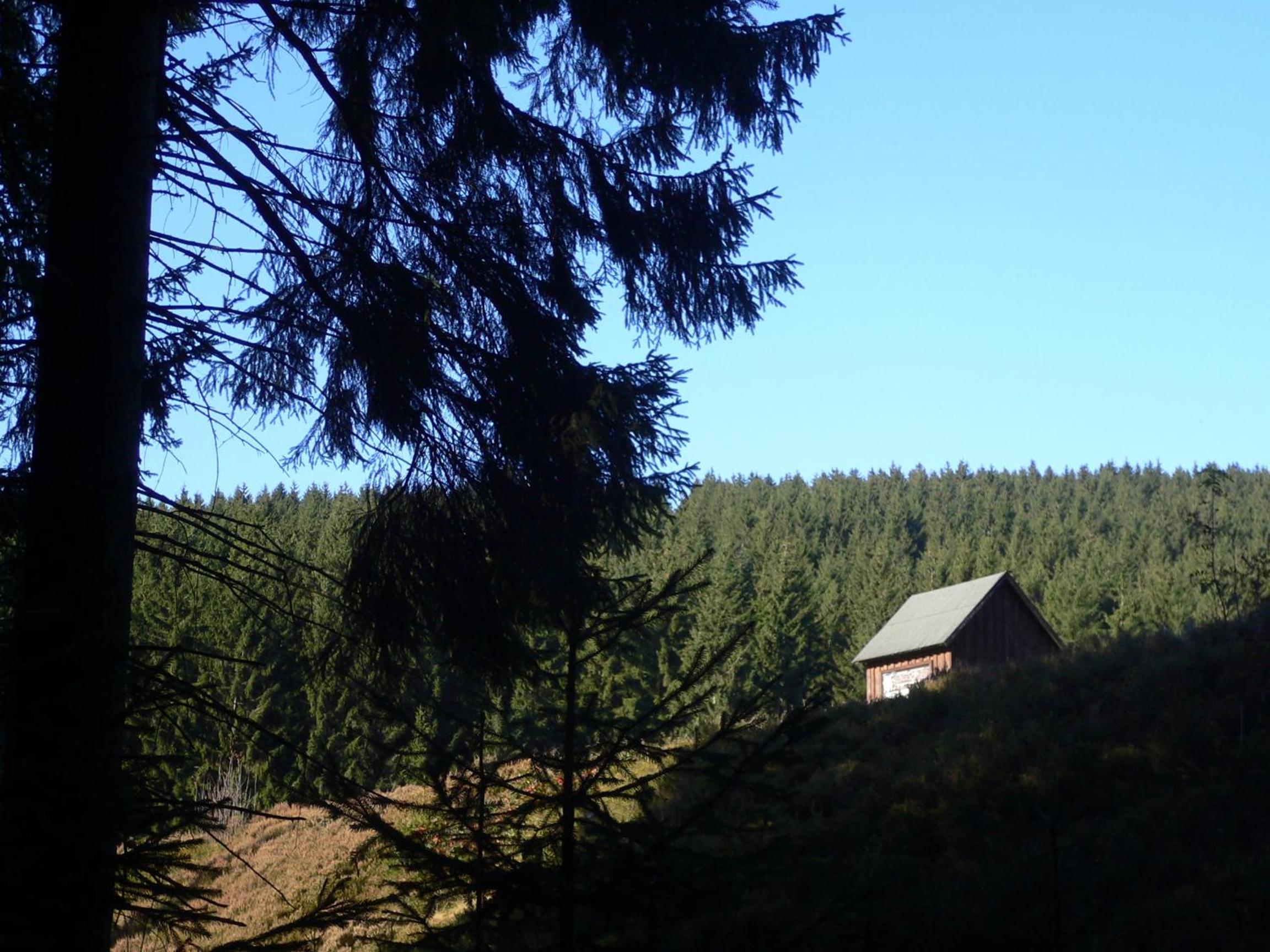 Ferienwohnungen Haus am Karpfenteich