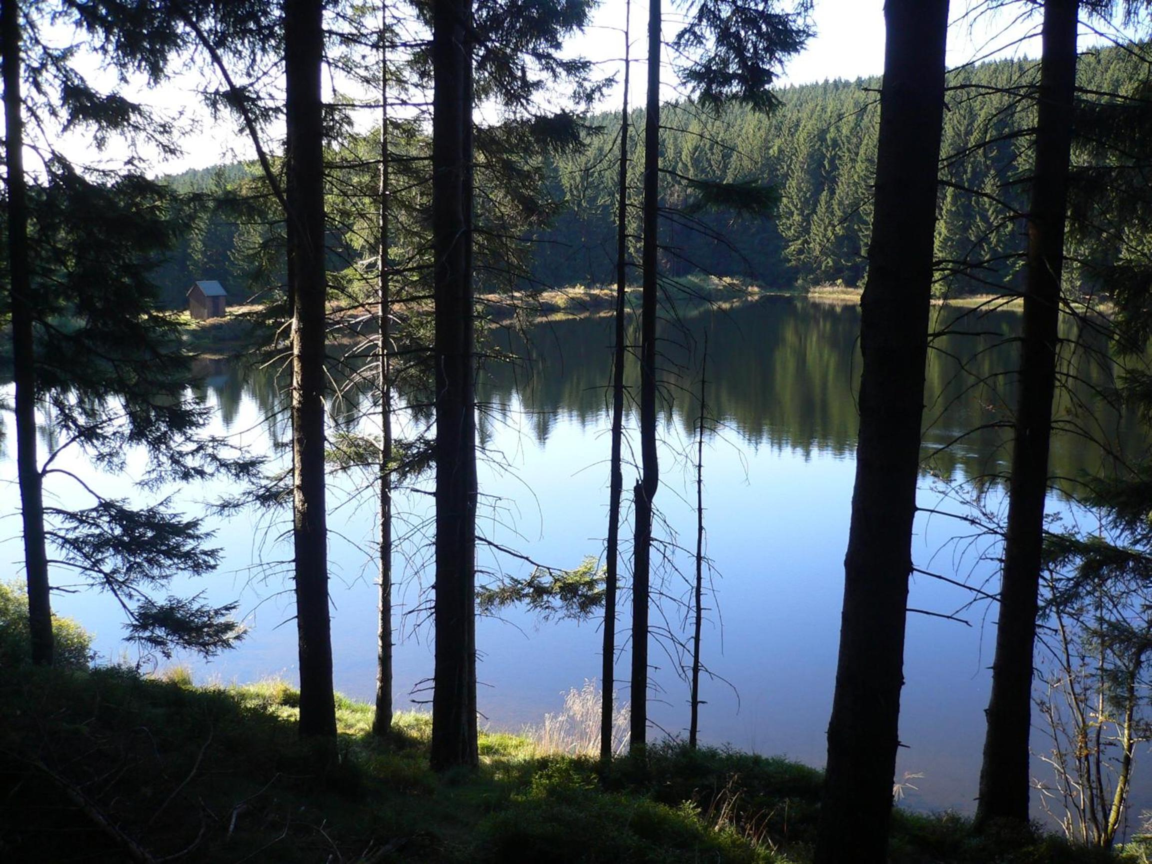 Ferienwohnungen Haus am Karpfenteich