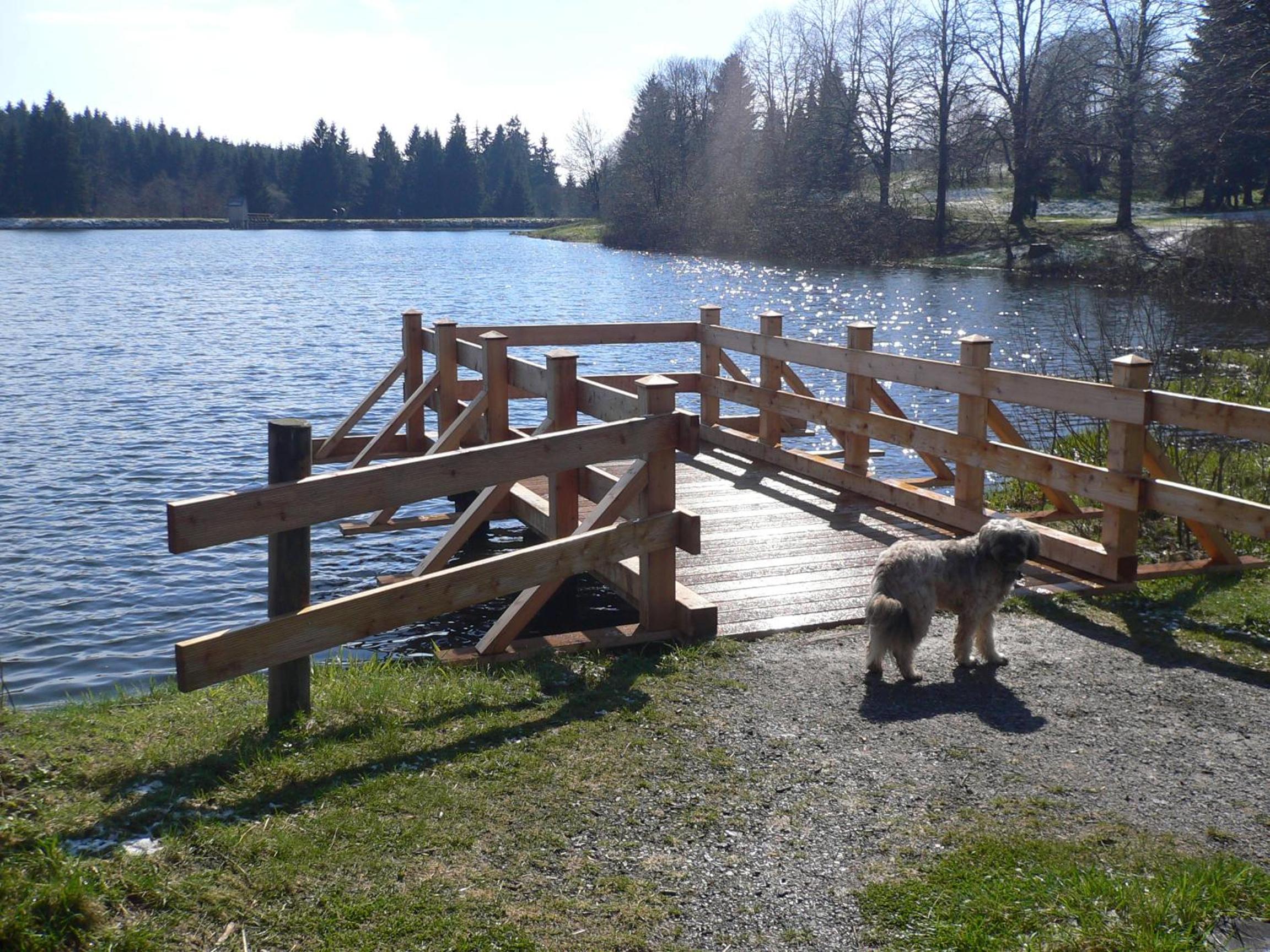 Ferienwohnungen Haus am Karpfenteich