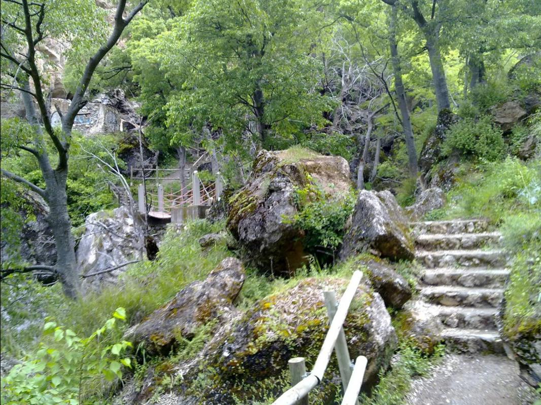 Photo 12