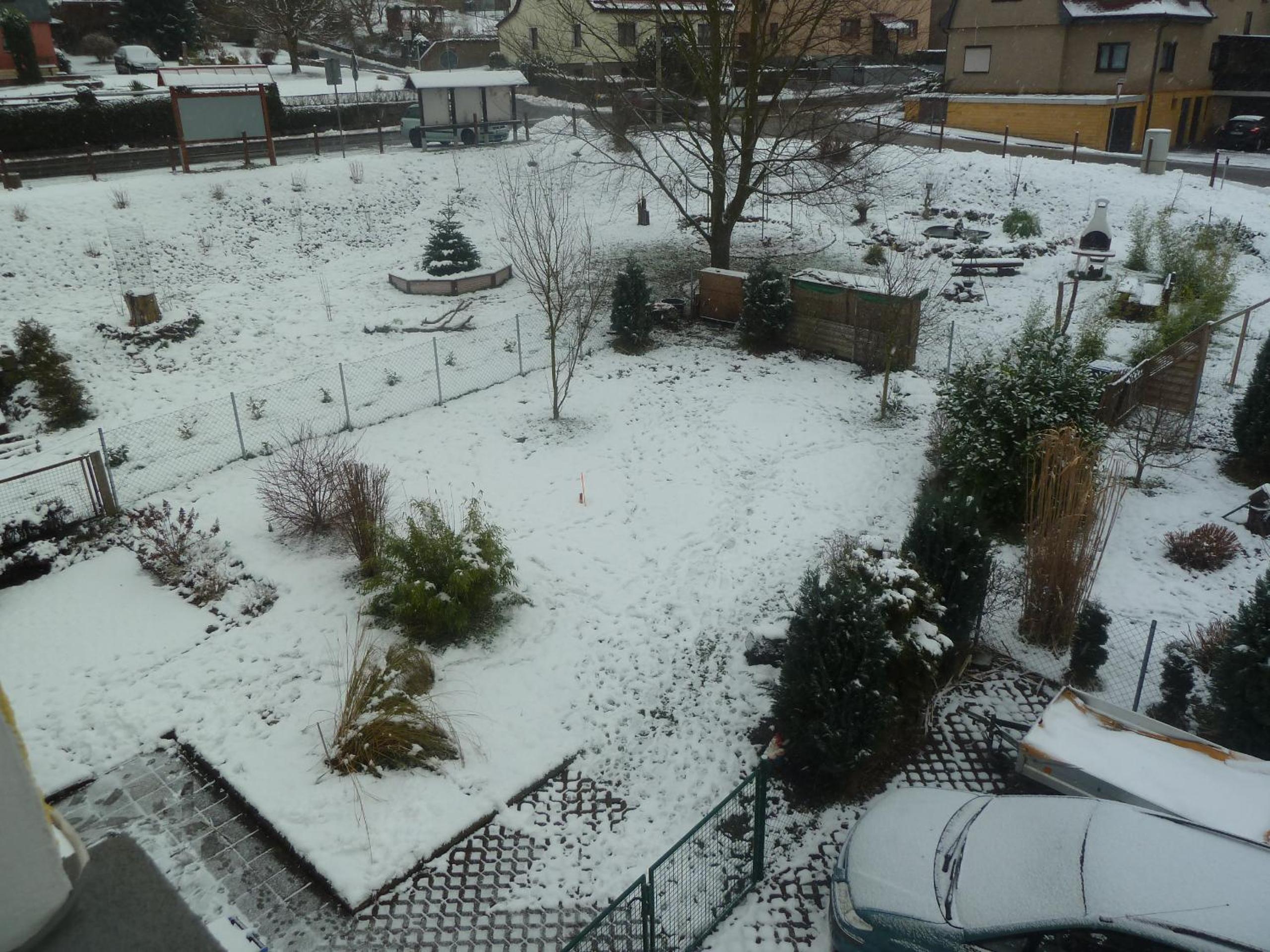 Photo 14