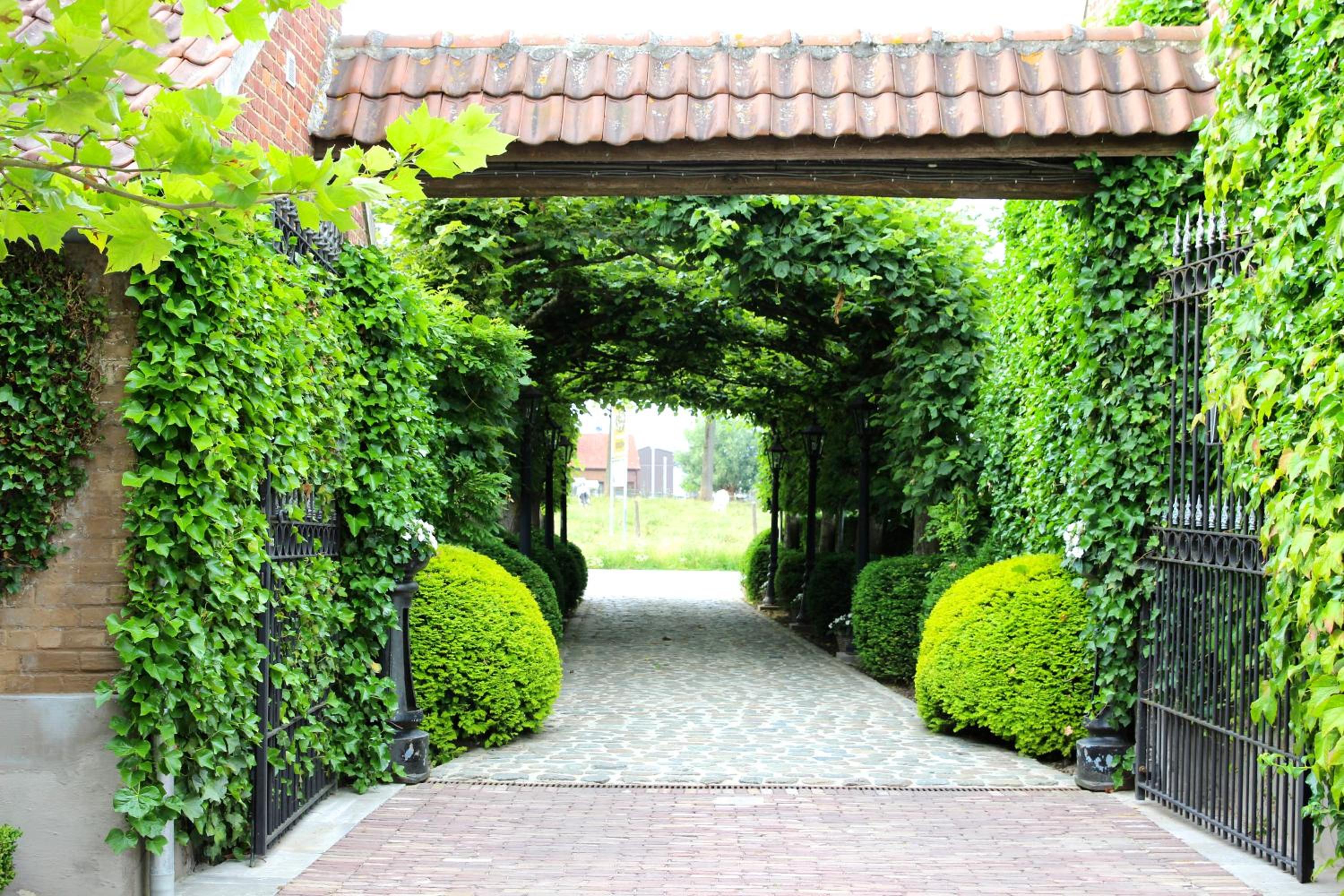 B&B Hof te Spieringen