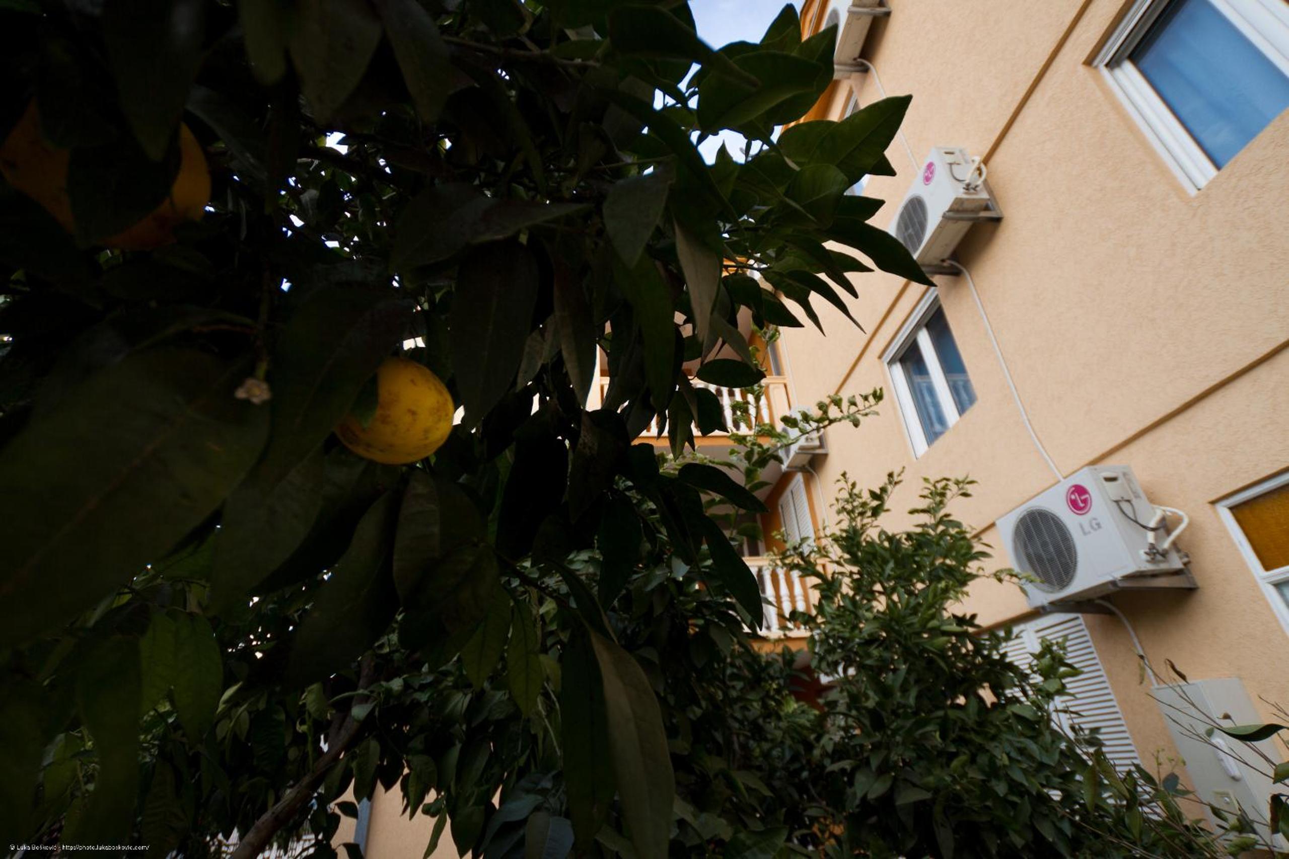 Apartments Dalila view 3