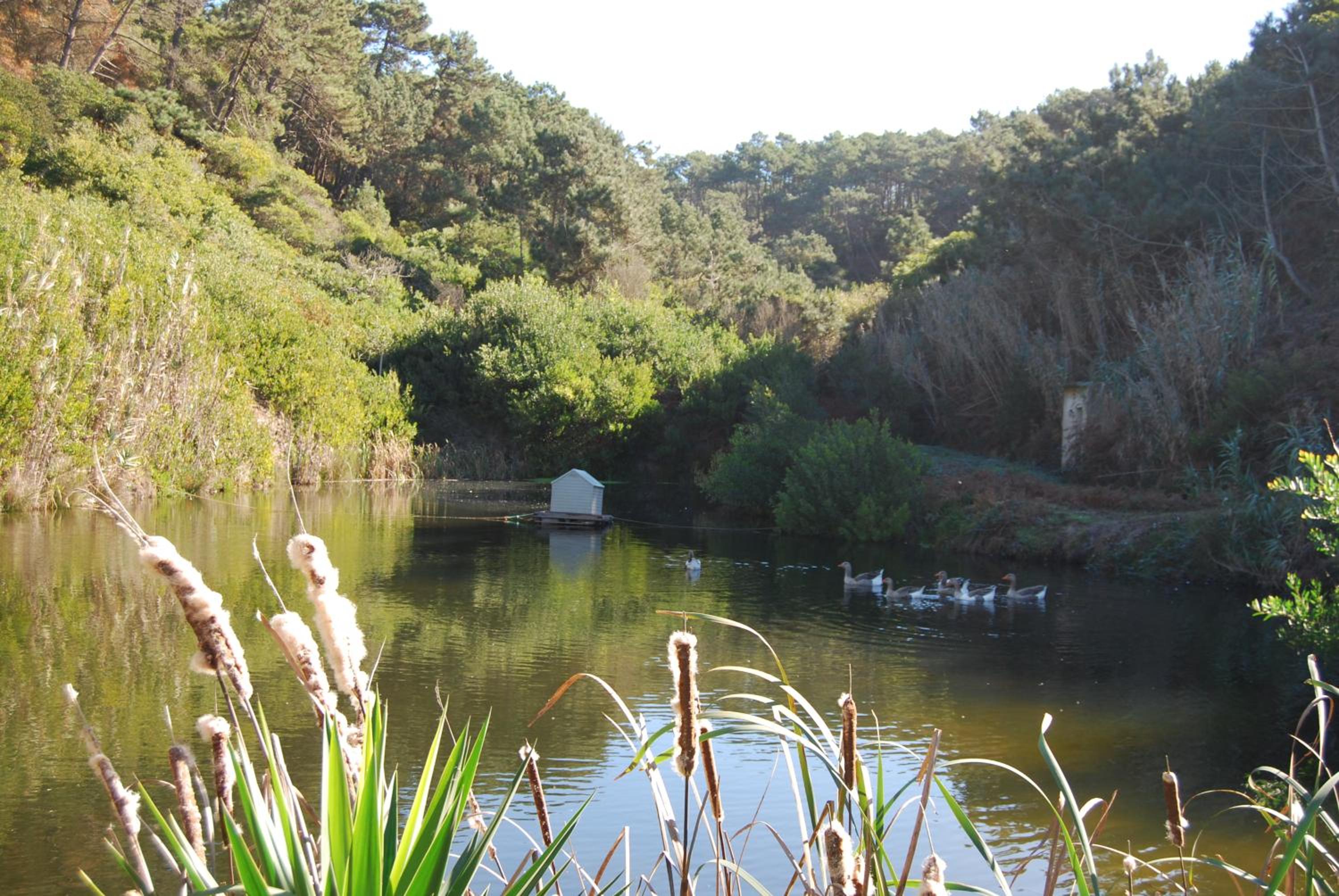 Quinta da Falca view 4