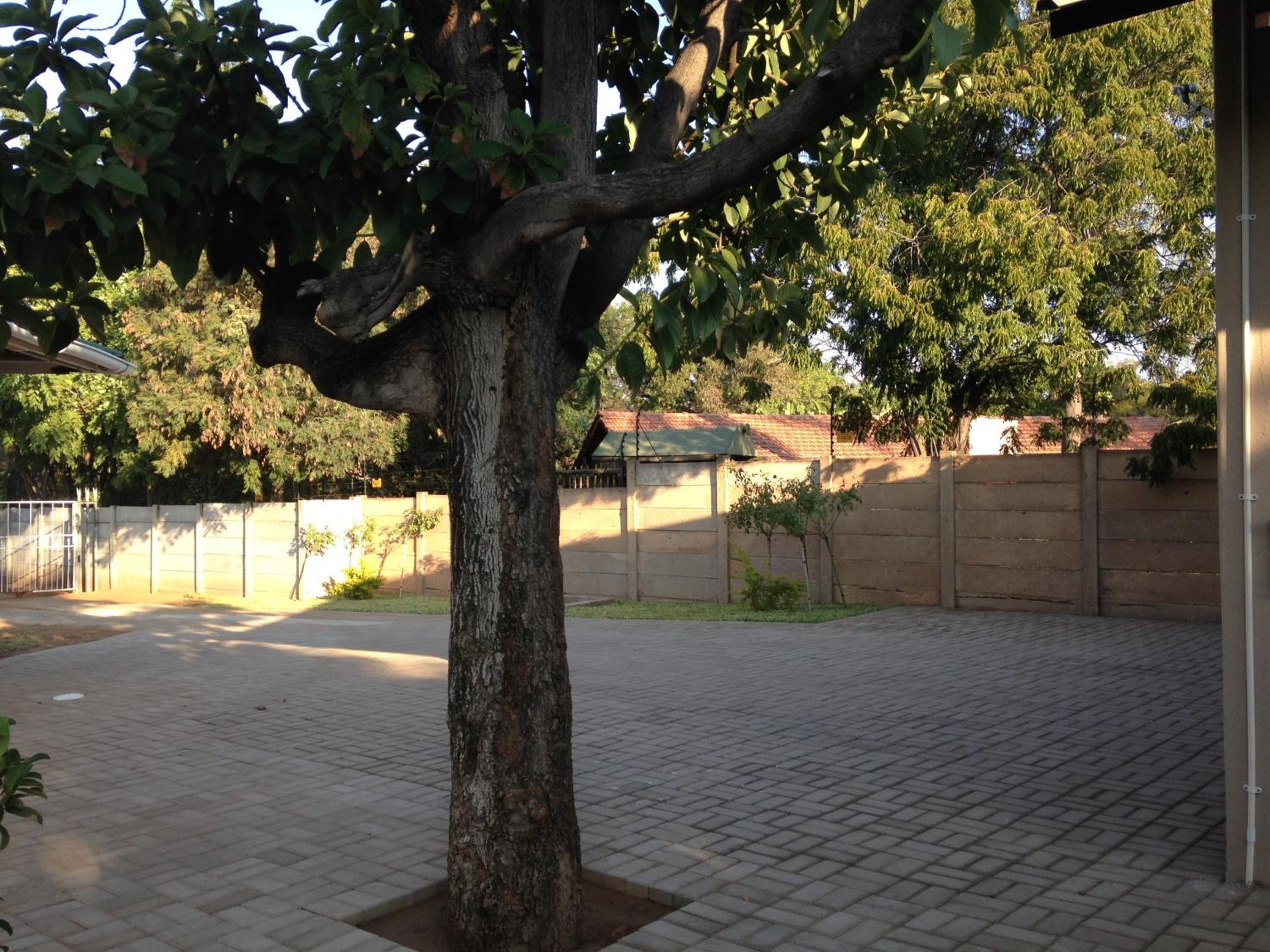 Photo 44