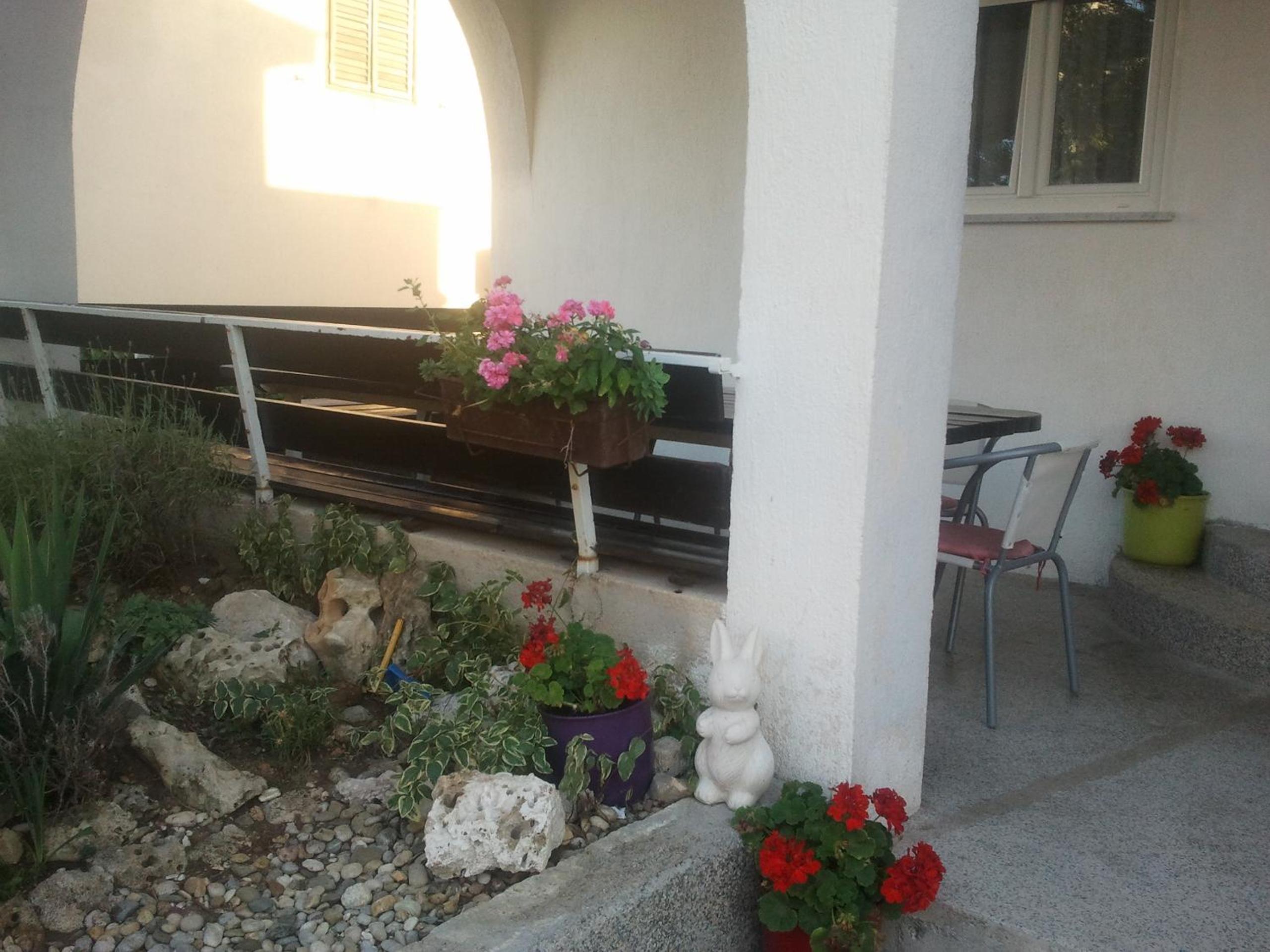 Photo 46