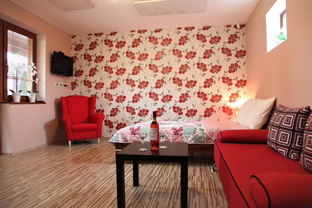 Apartman Levandula view 4