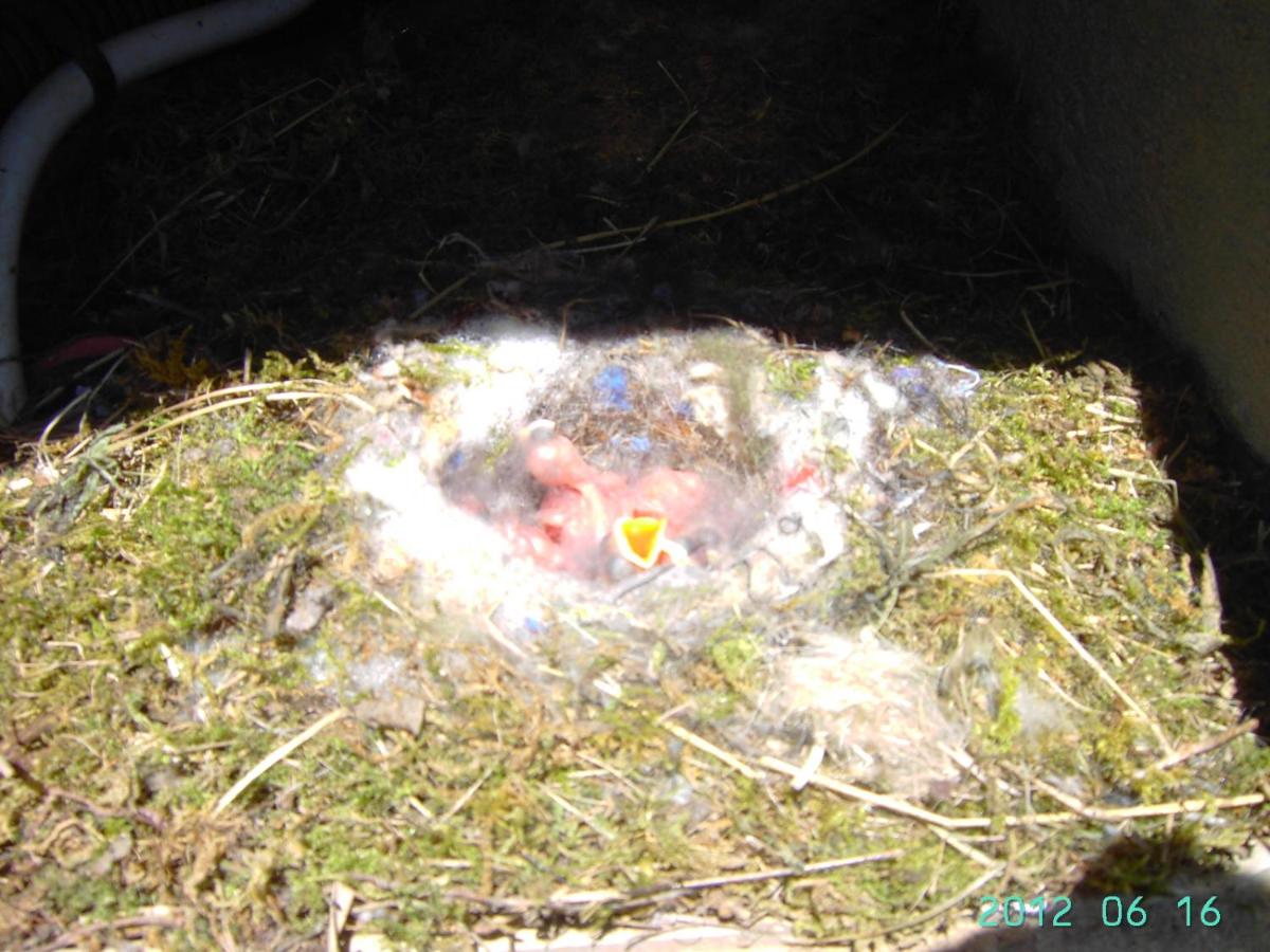Photo 22