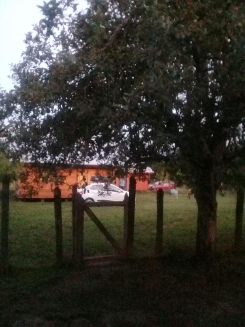 Cabañas piedra Alta, Huilo Huilo