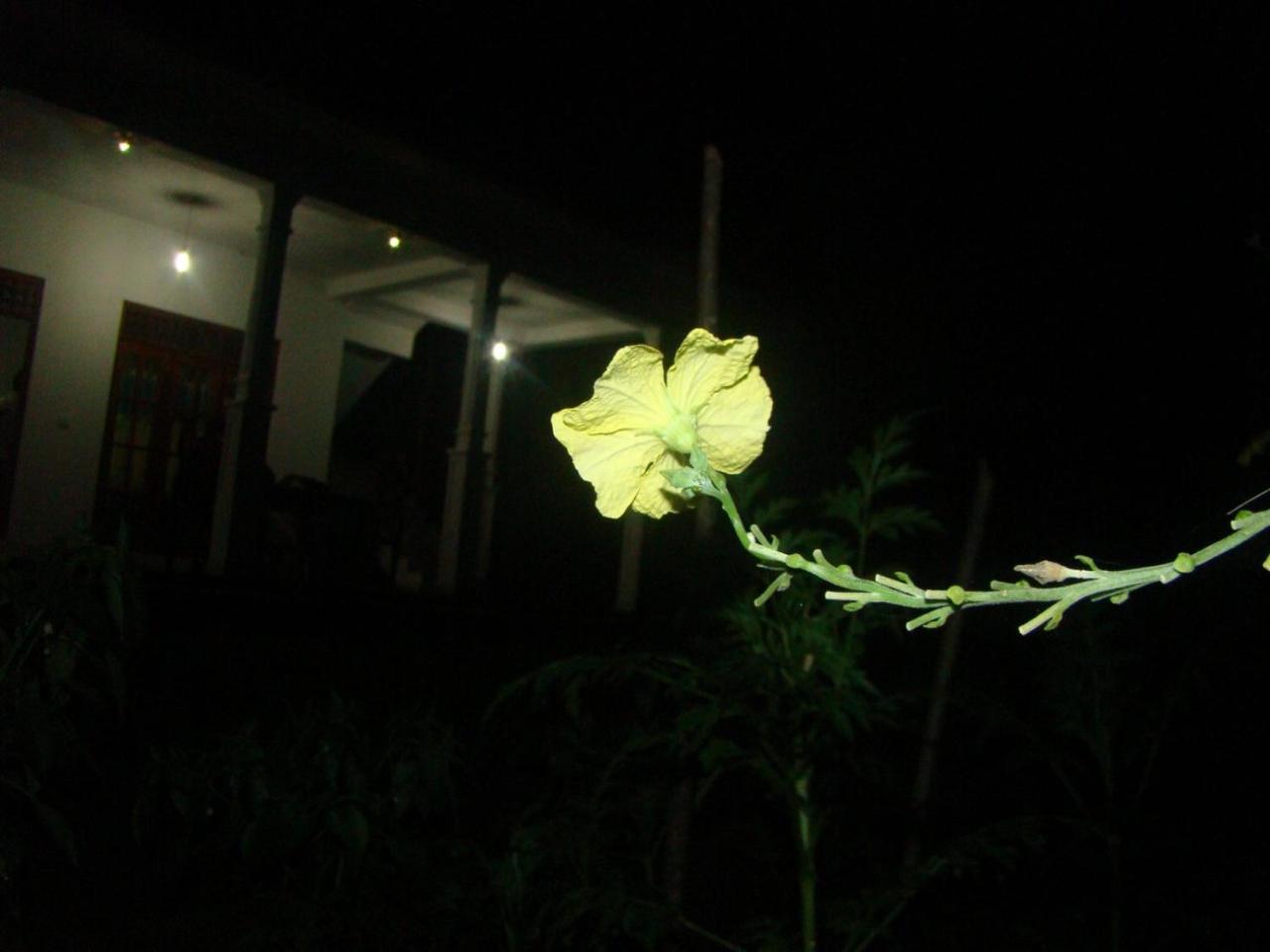 Photo 30