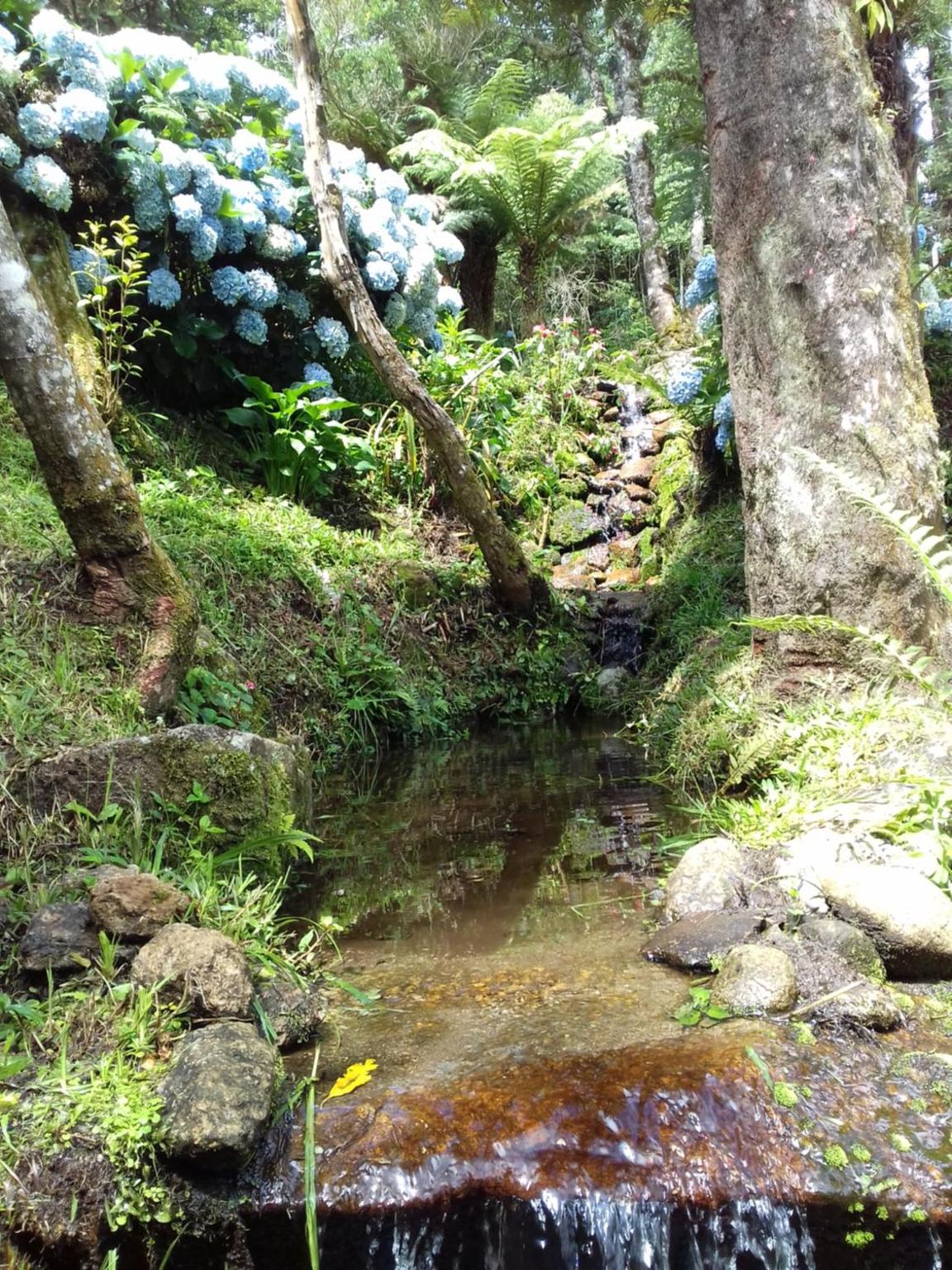 Casa Aconchegante Na Mantiqueira