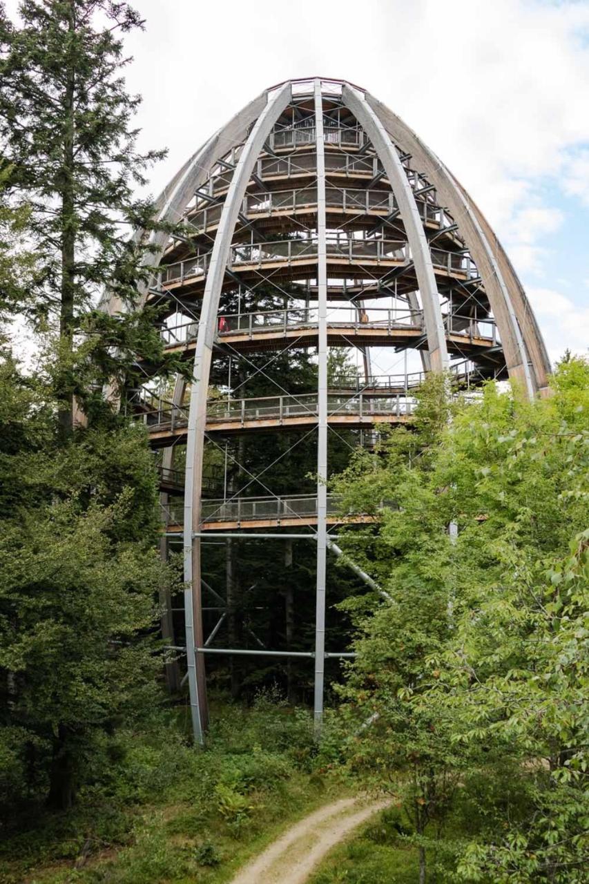 Landhotel-Gasthof-Schreiner view 2
