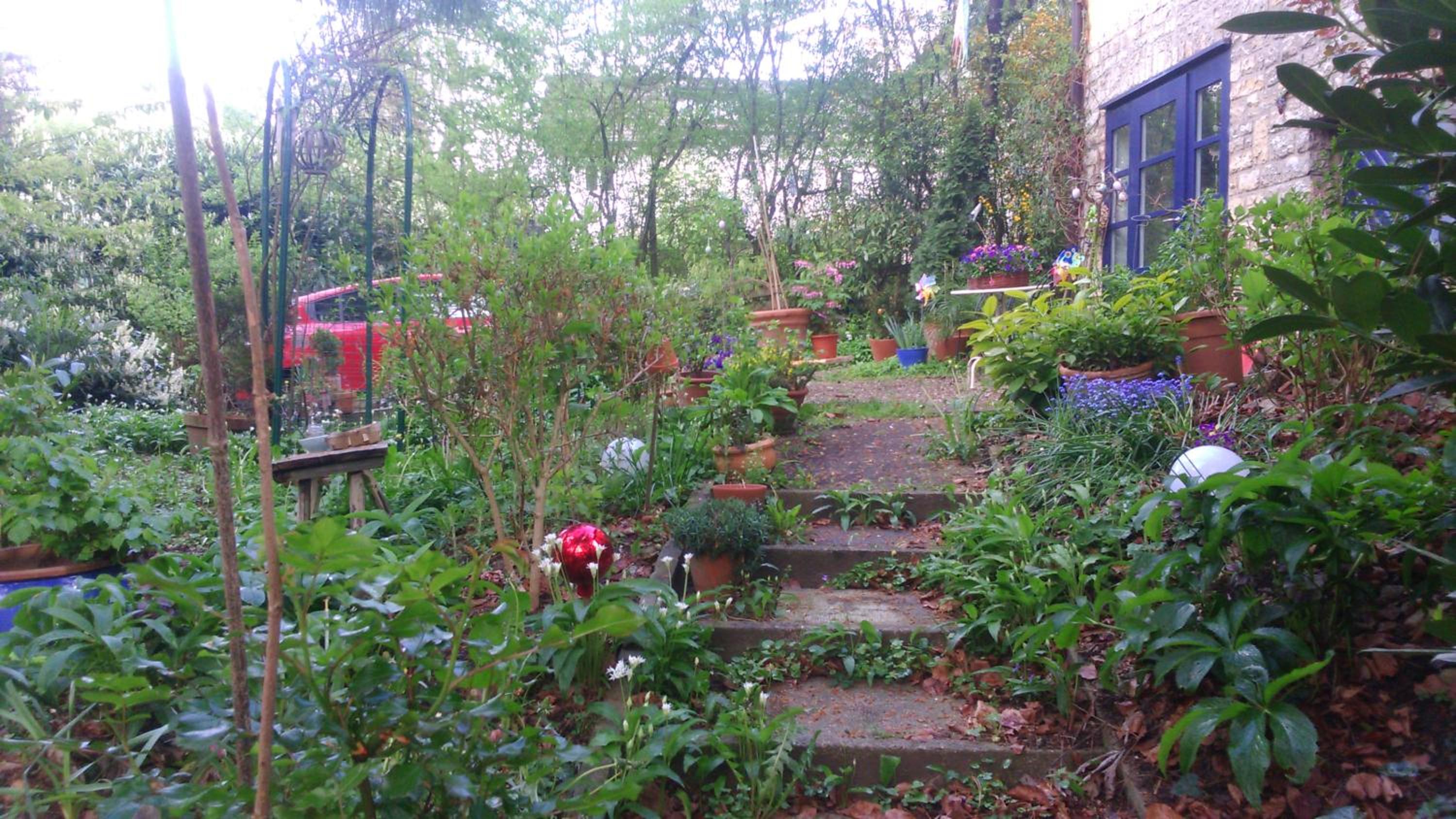 B&B am Park
