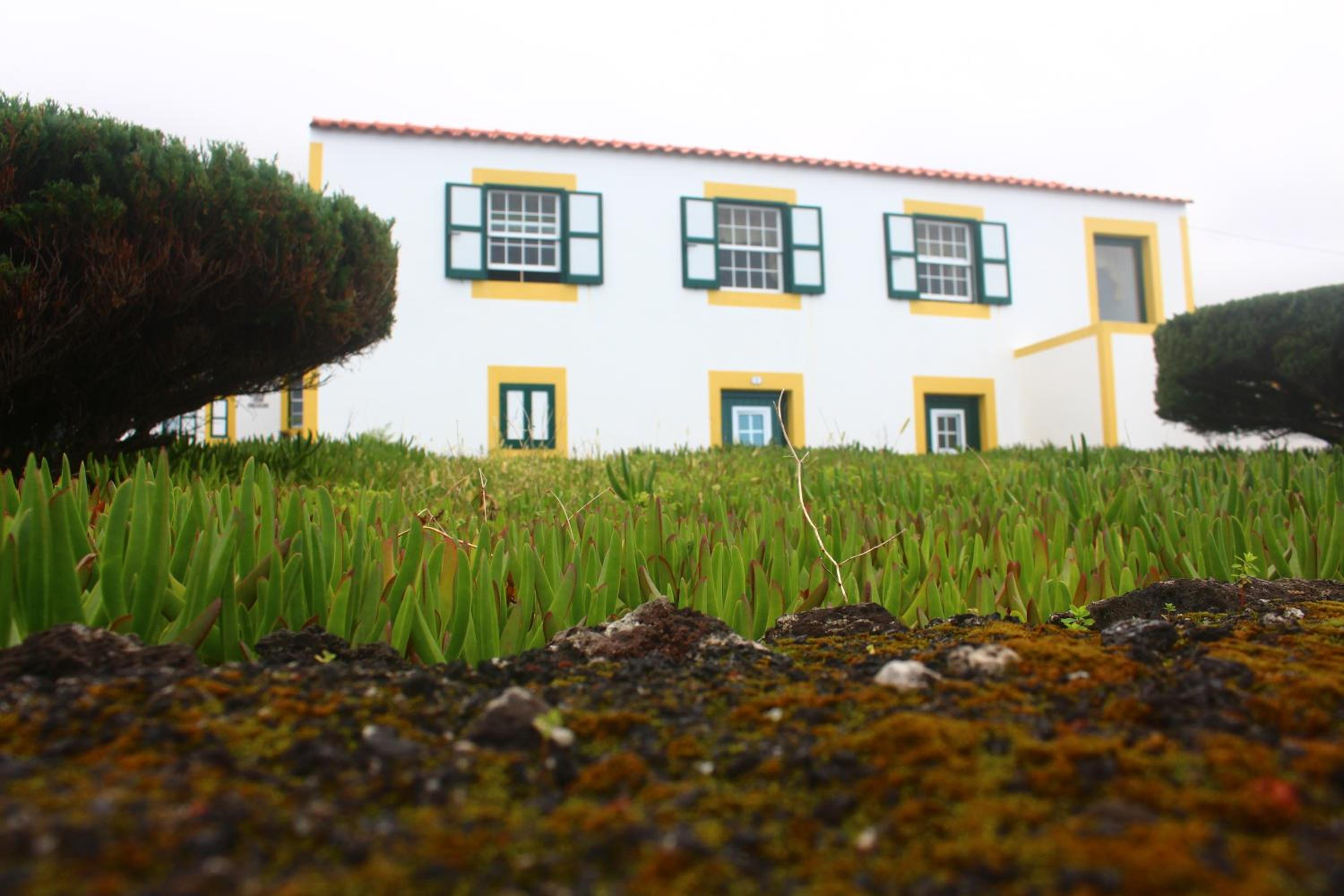 Casa dos Felicias view 2