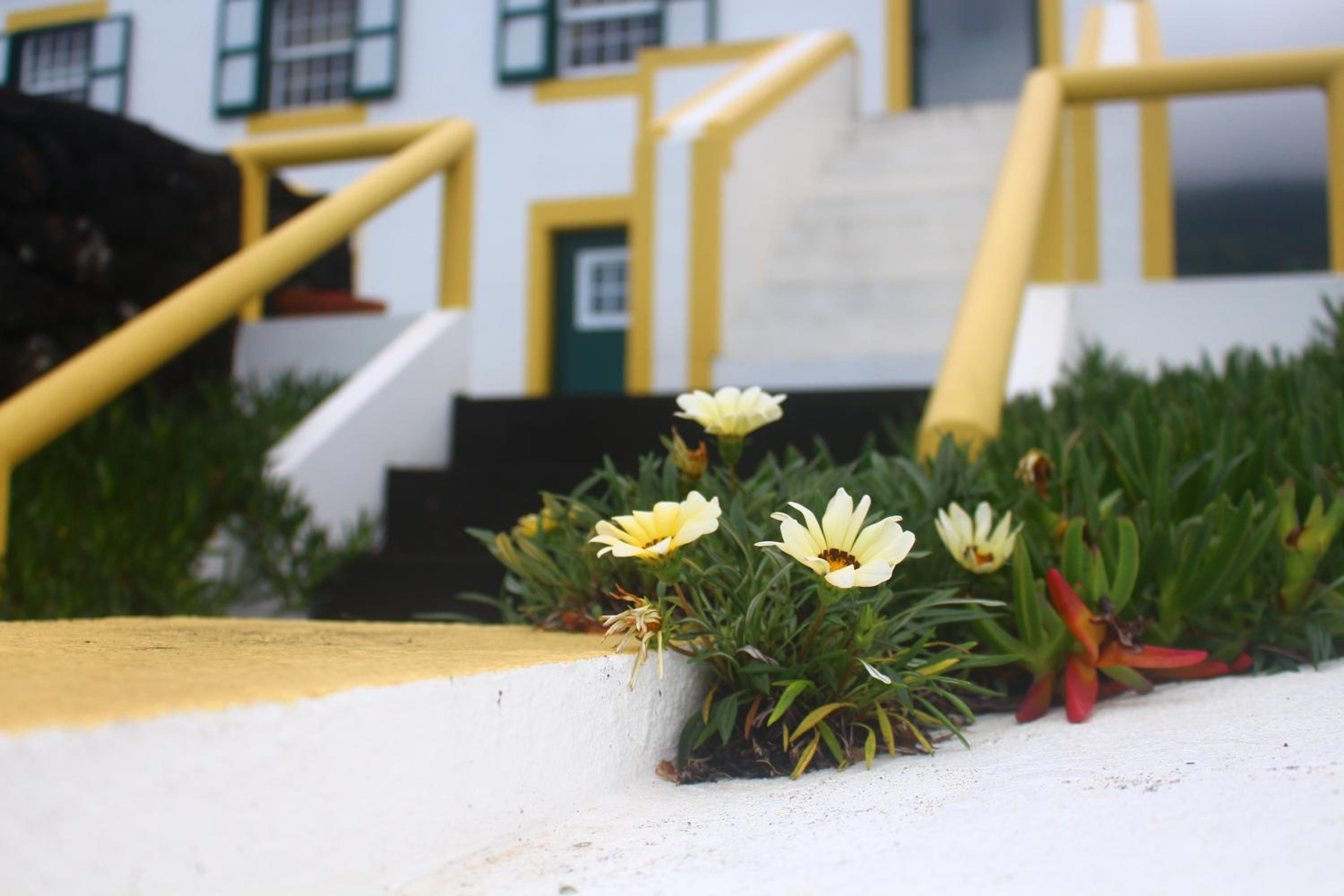Casa dos Felicias view 3