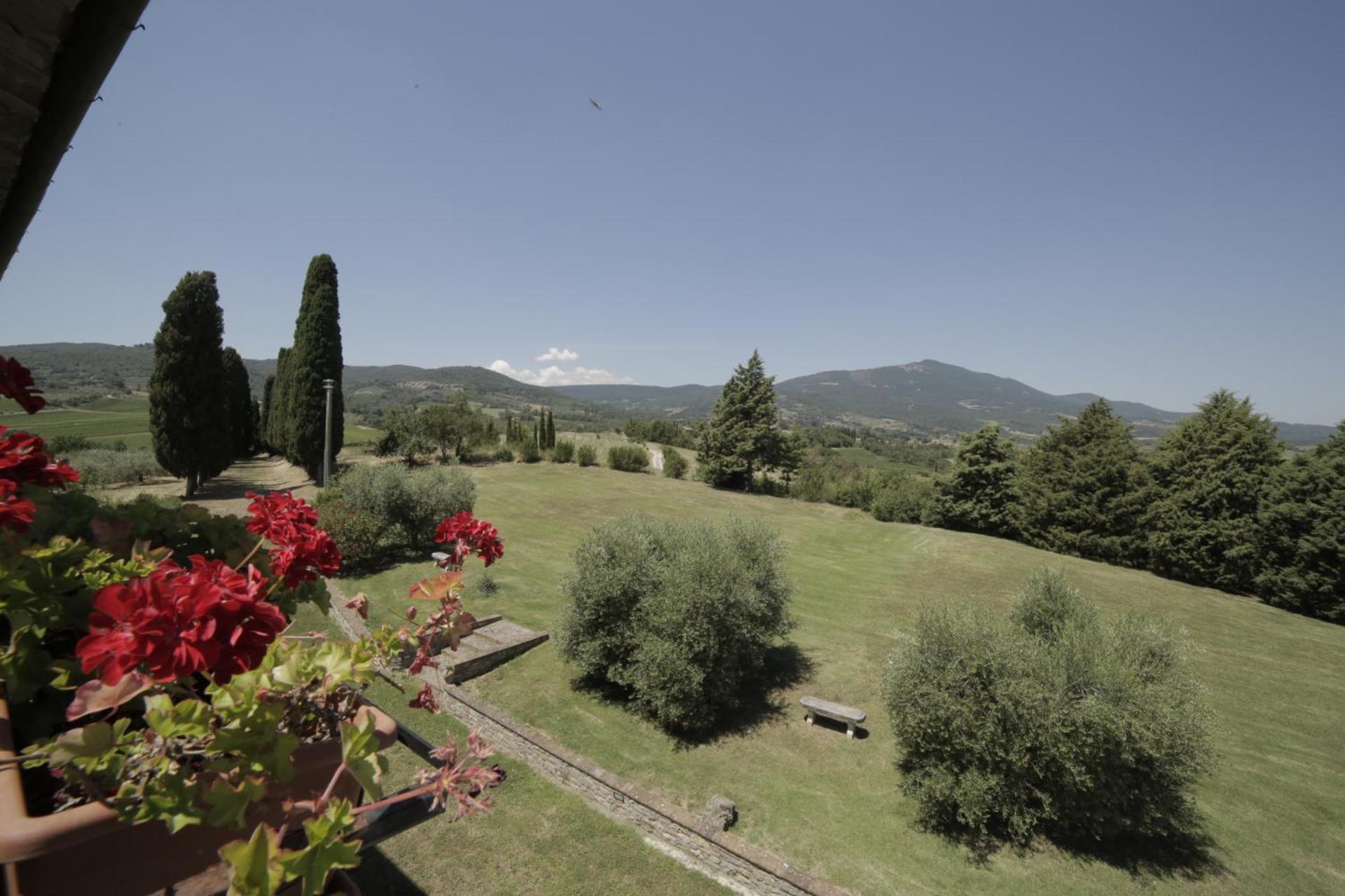 Il Pino Di Spazzavento