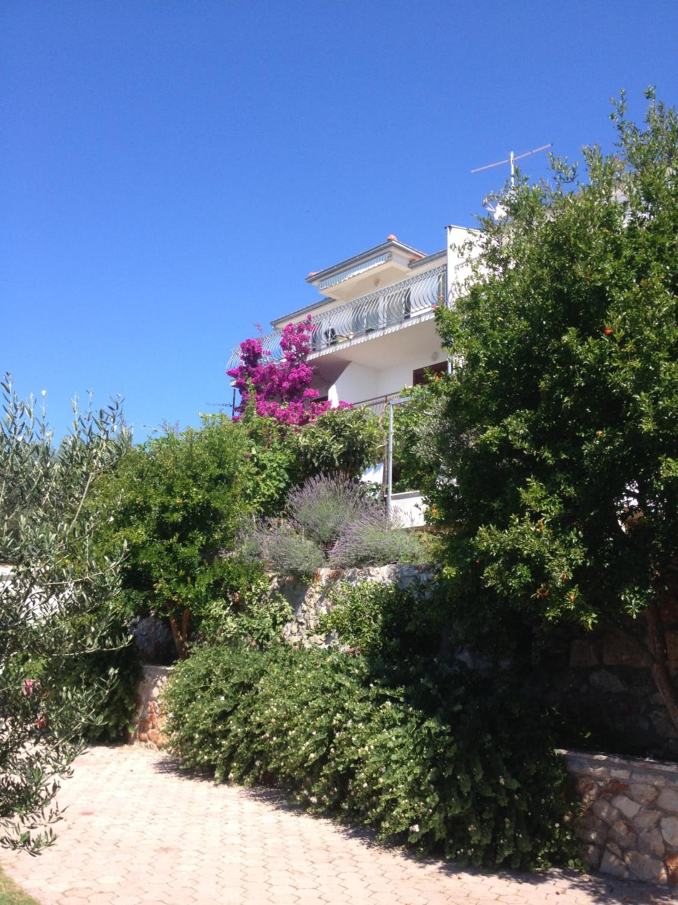 Photo 42