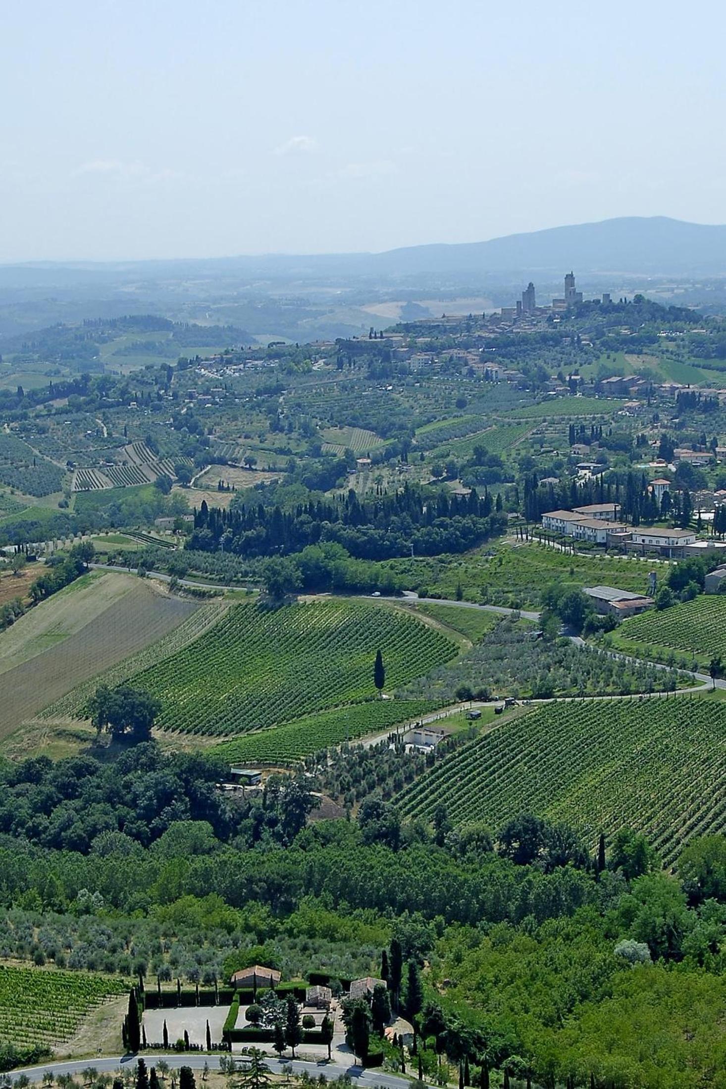 Rocca degli Olivi