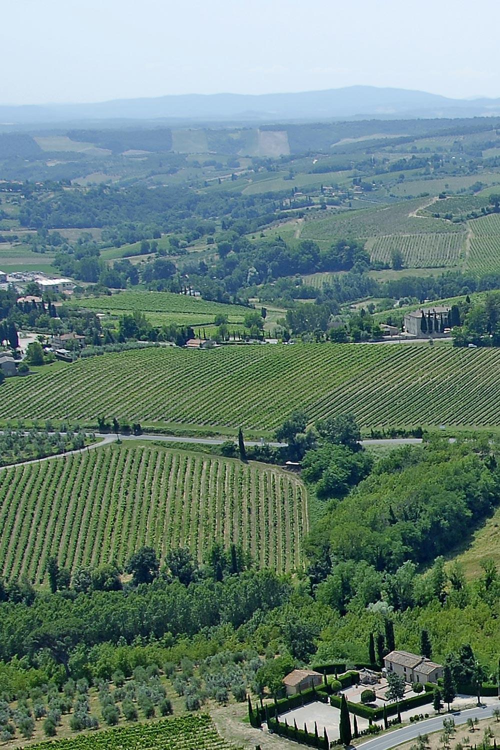 Rocca degli Olivi