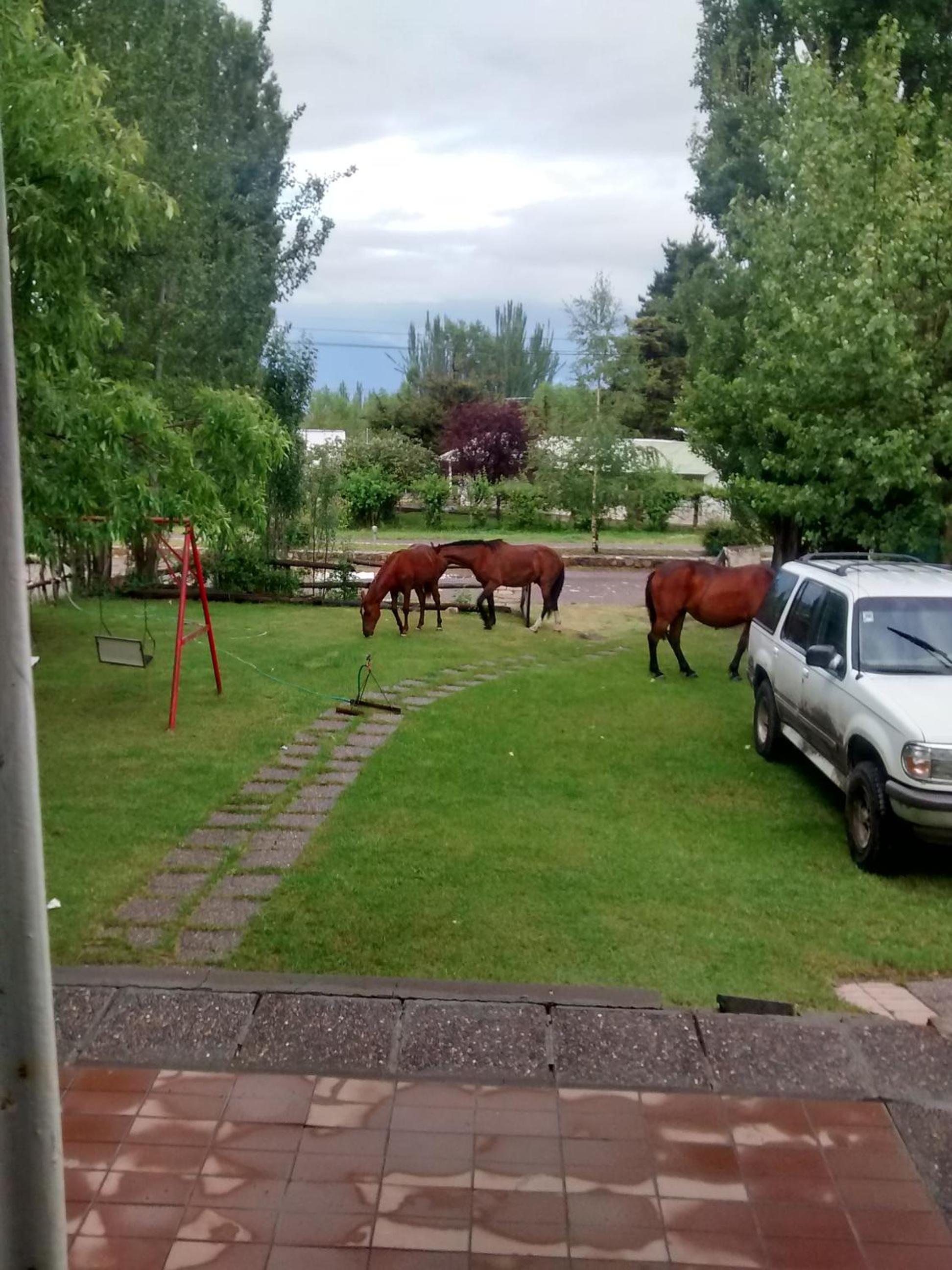 Casa de montaña, valle del sol, potrerillos, Mendoza