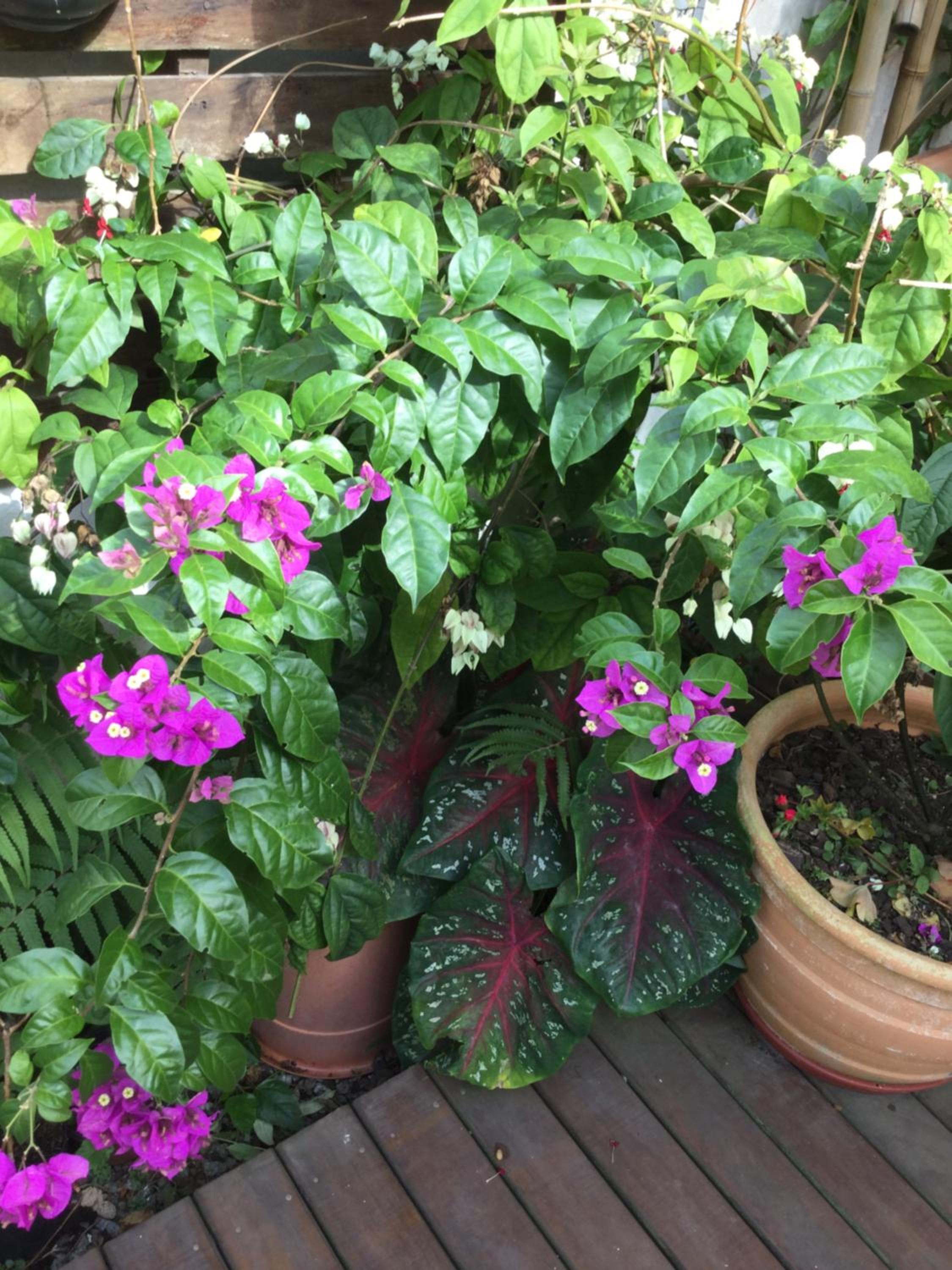 other
