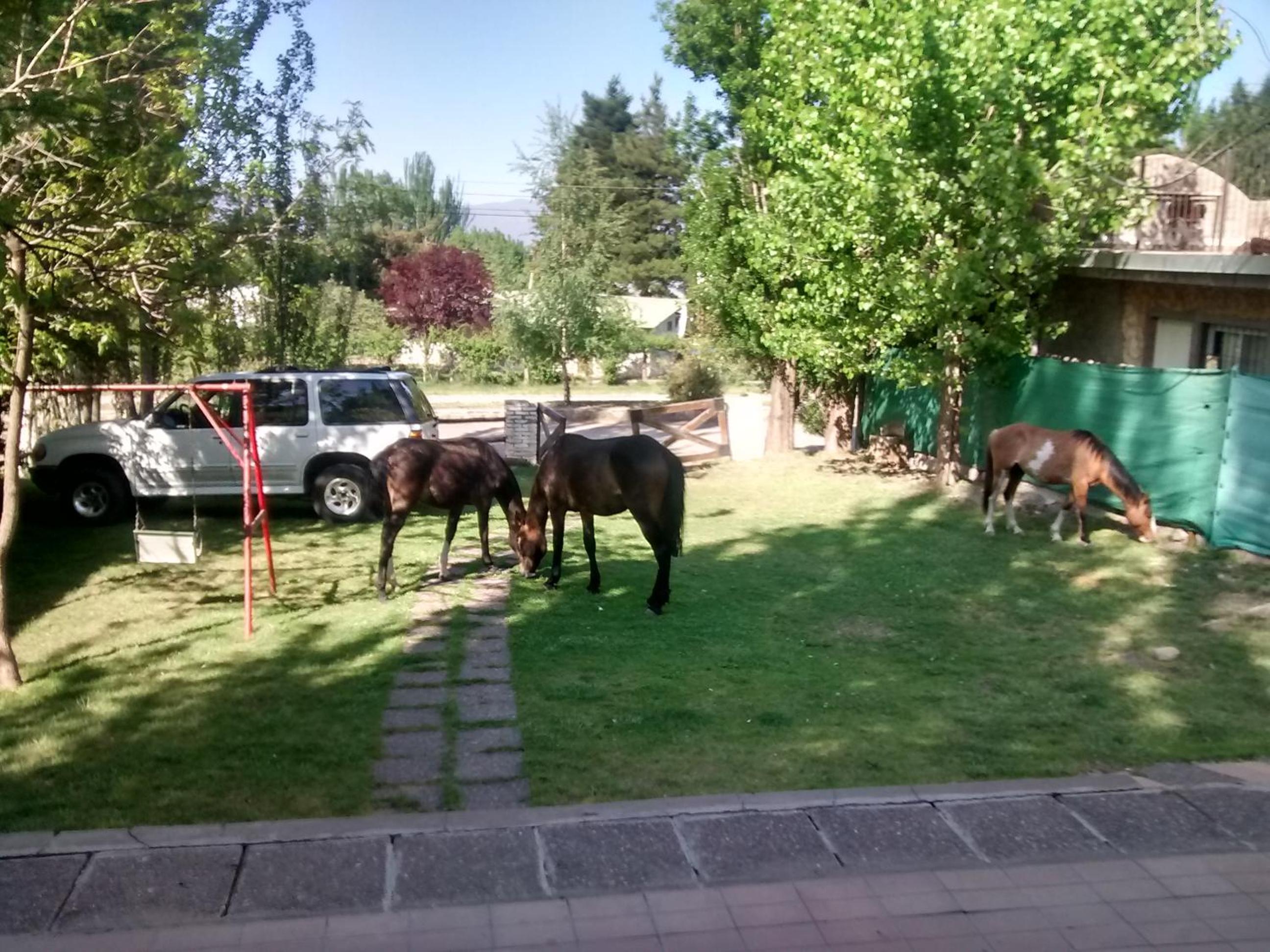 Casa de montaña, valle del sol, potrerillos, Mendoza