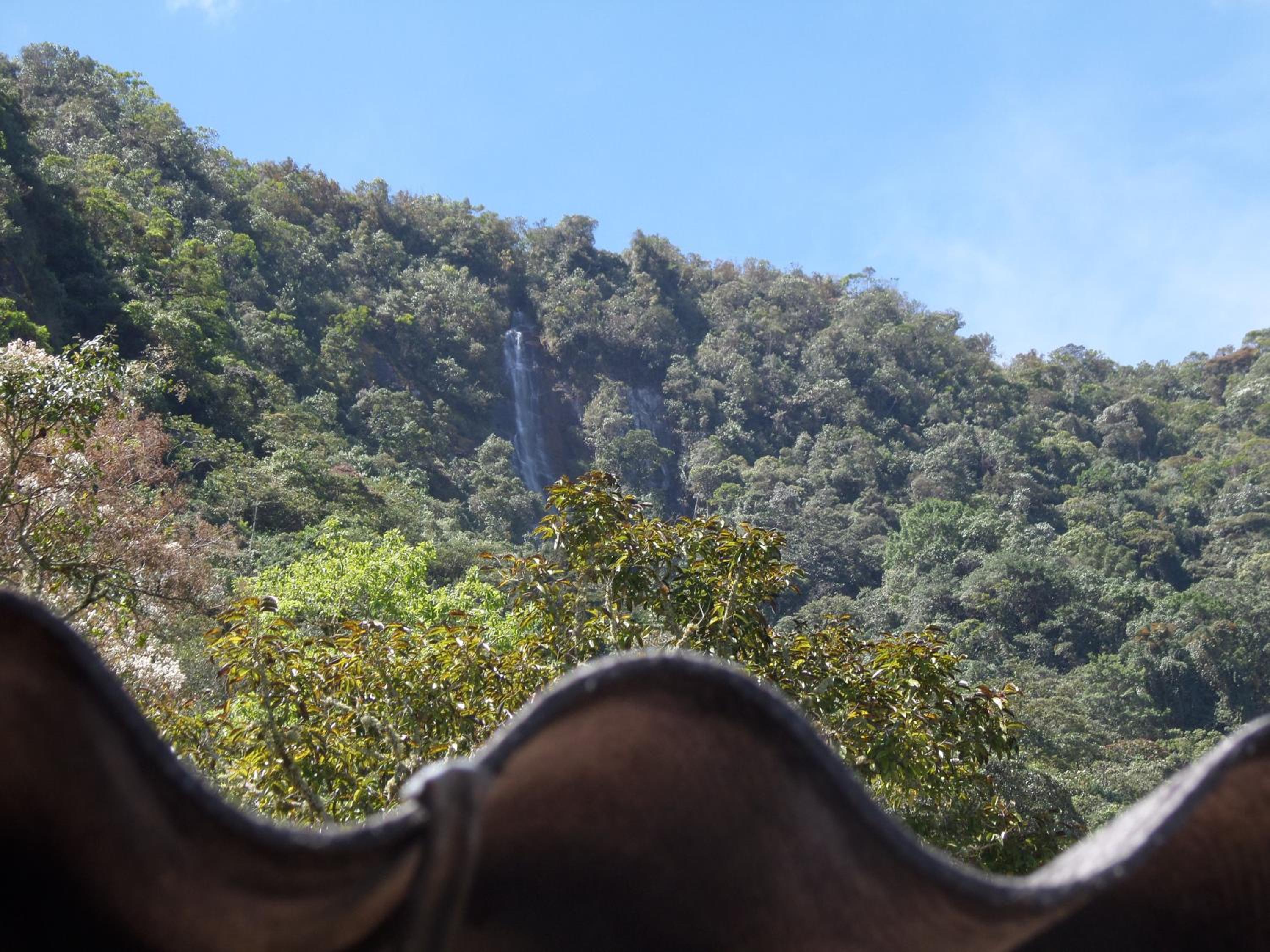 Monte Mágico