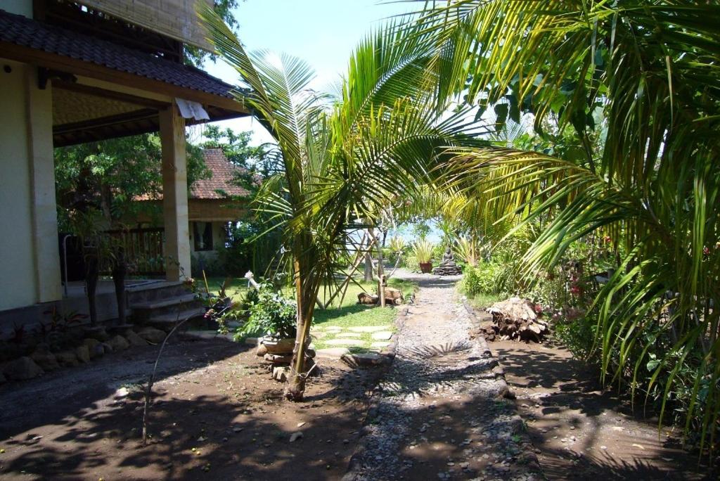 Photo 7