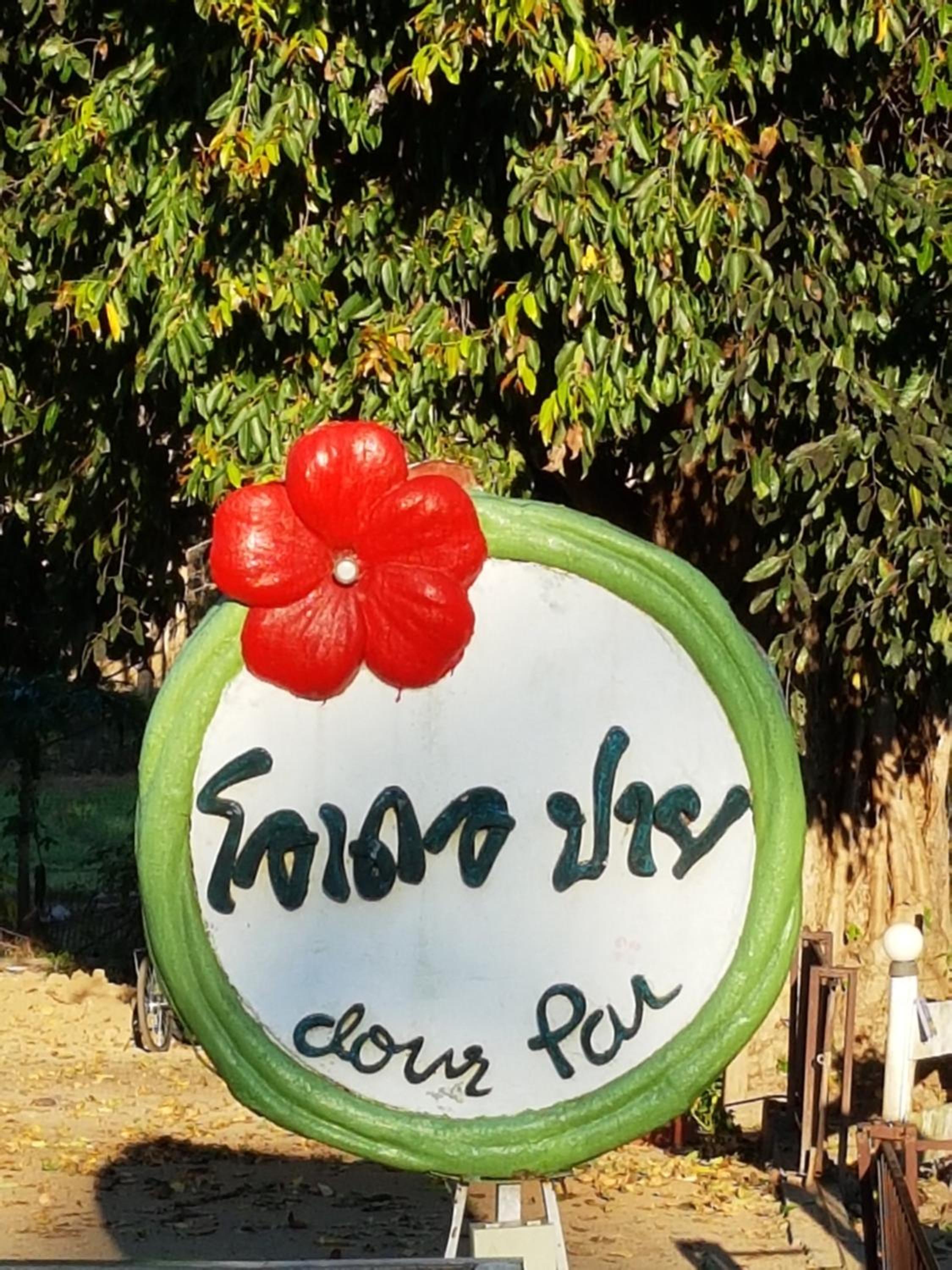Spa & Wellness