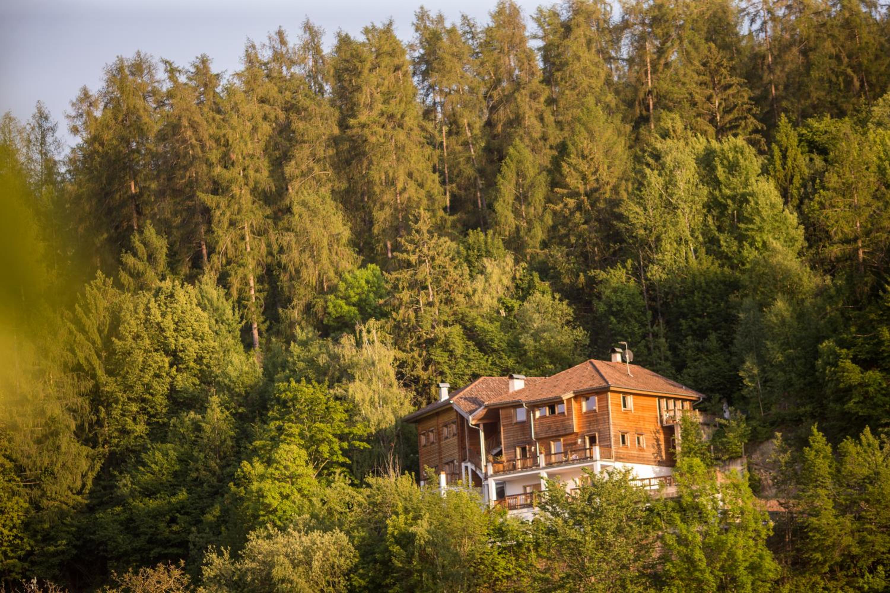 Schlossblick view 5