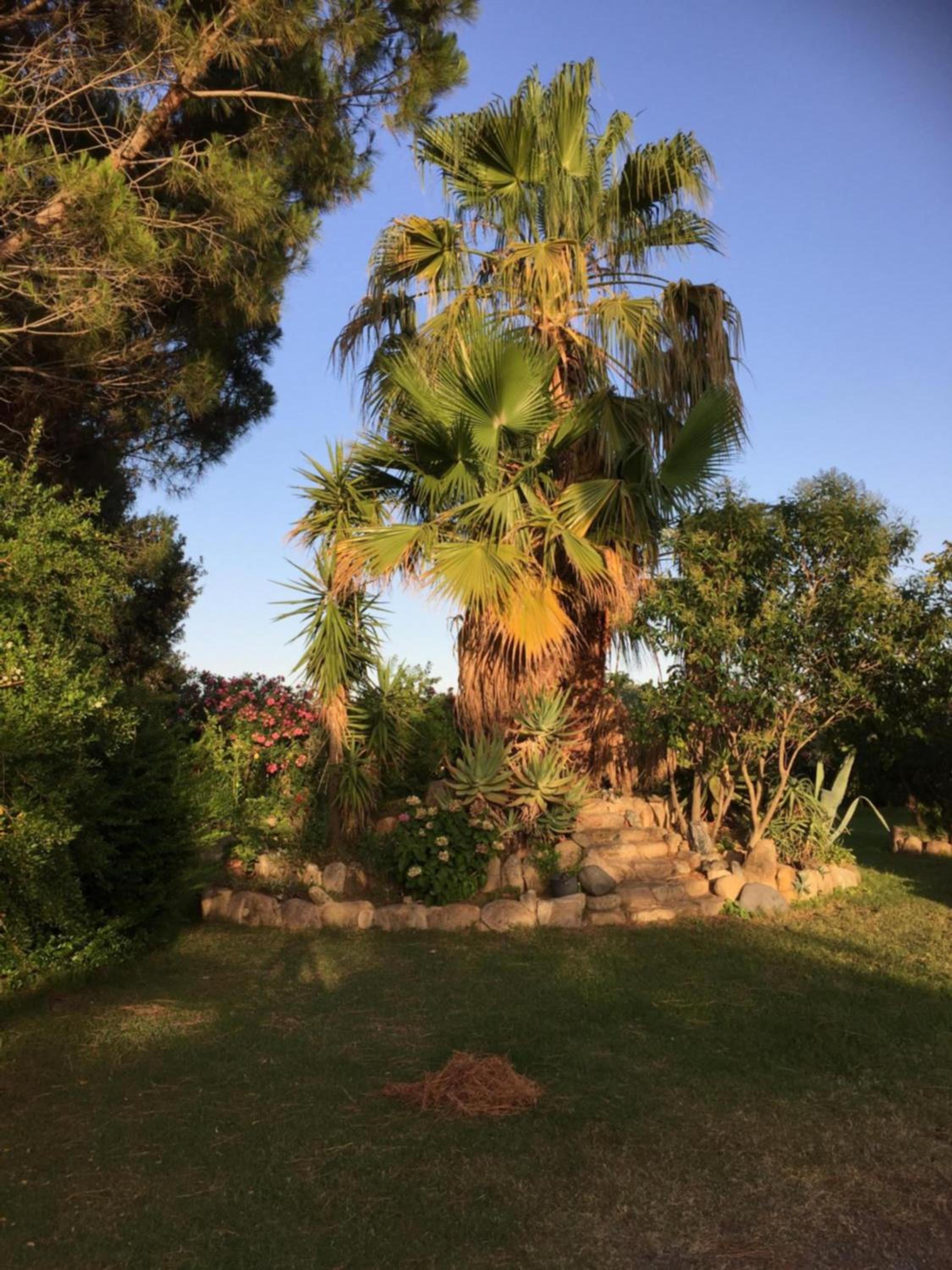 Photo 21