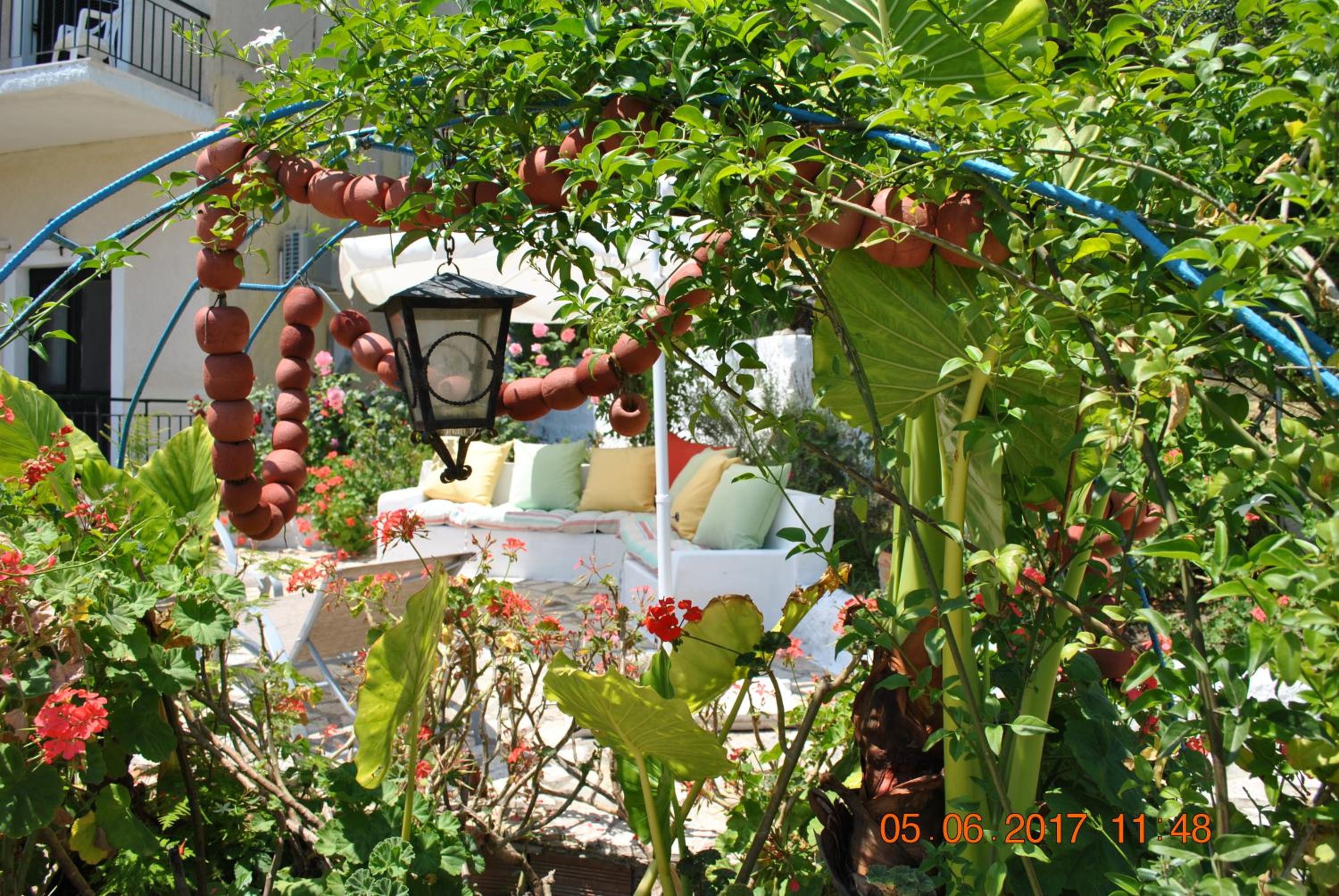 Photo 25