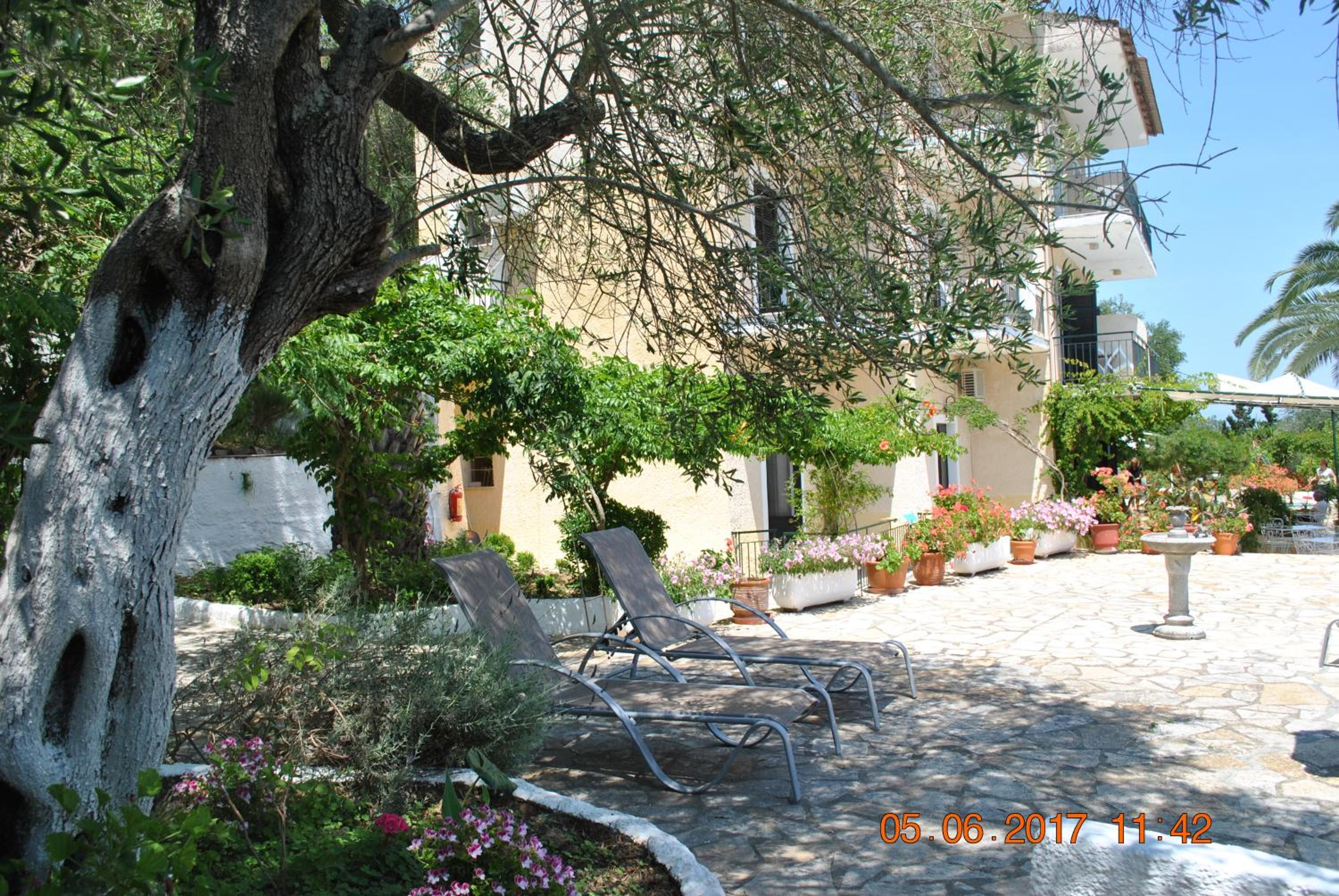 Photo 13